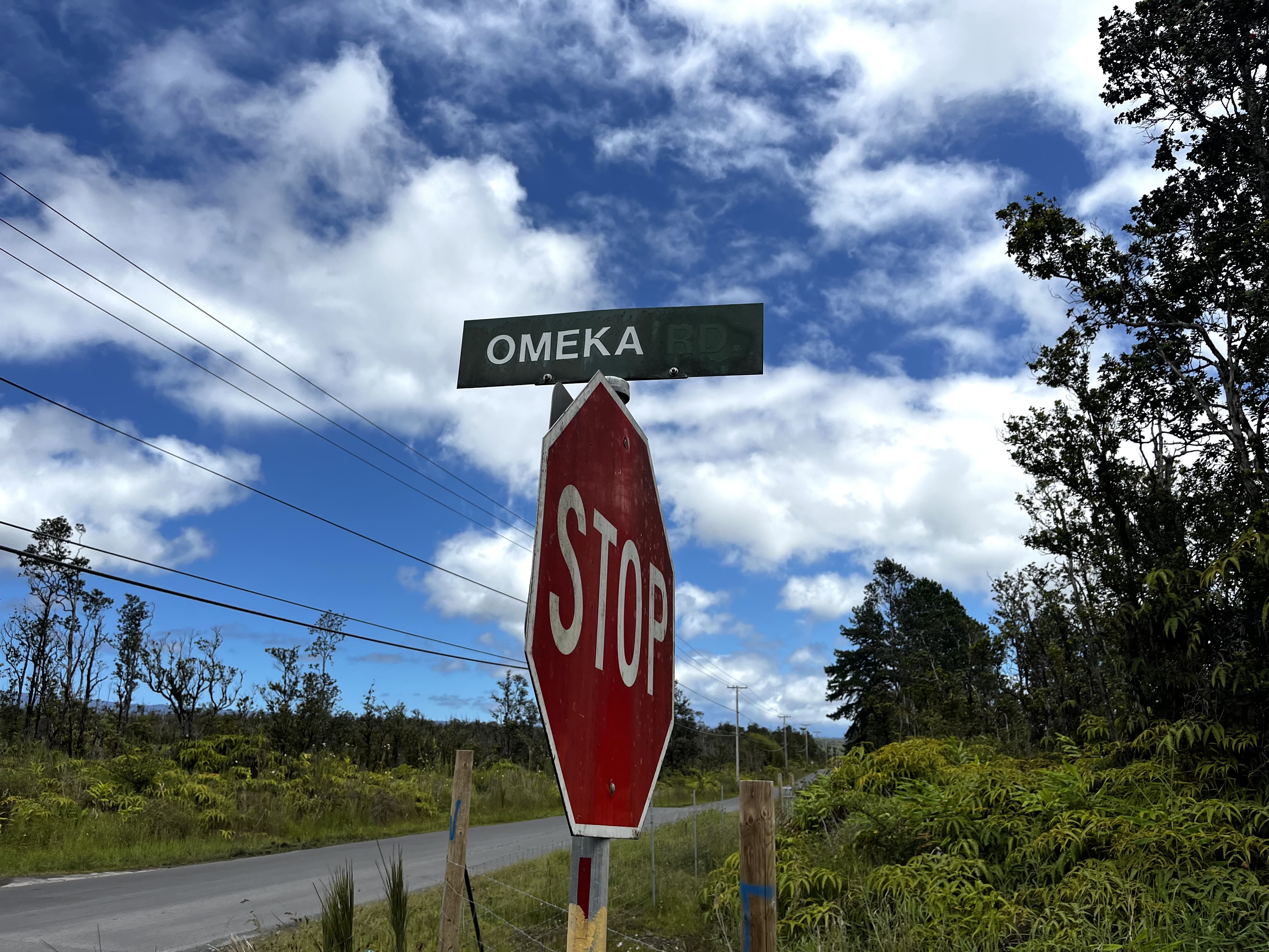 Omeka Rd Property Photo 1