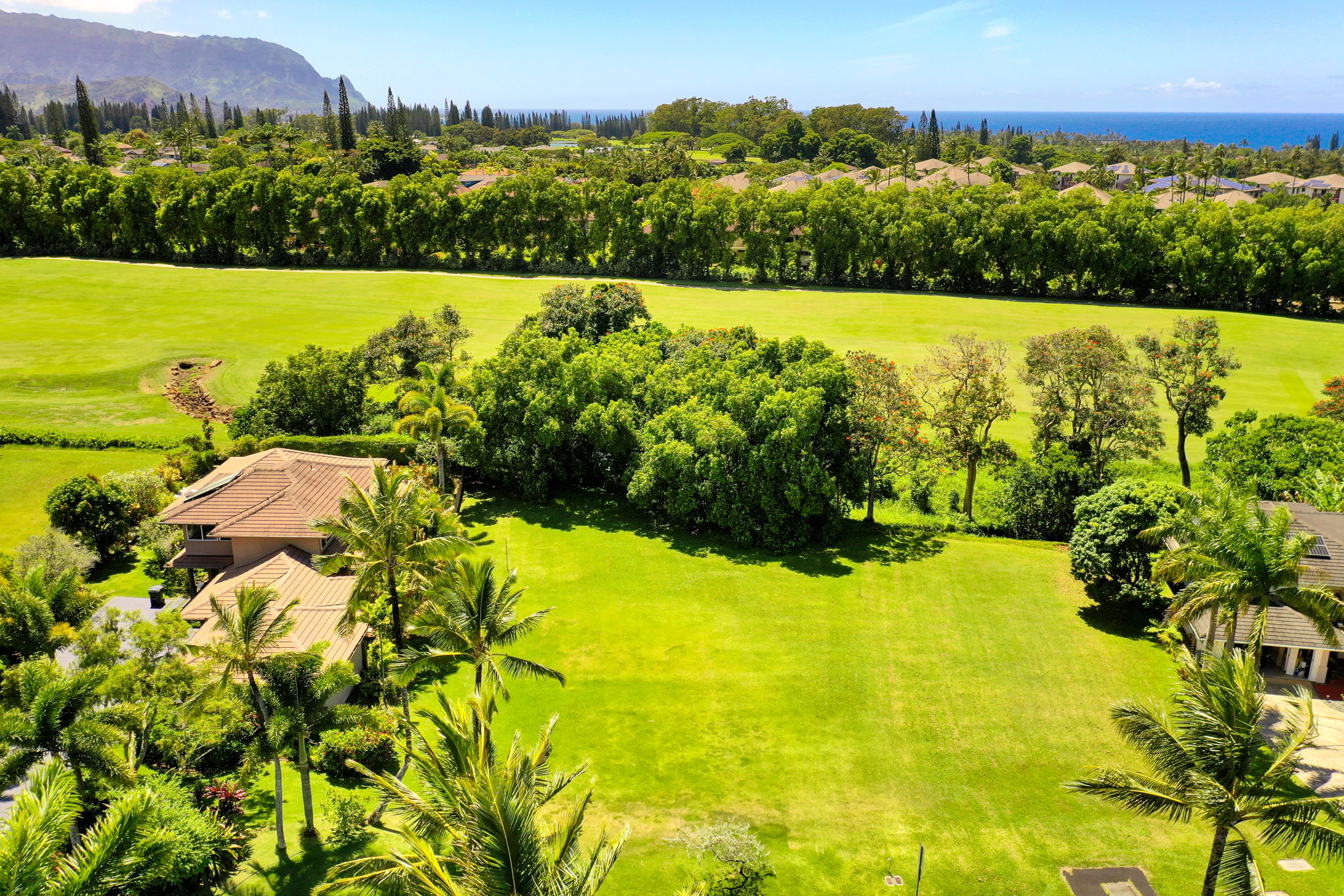 4058 Aloalii Dr Property Photo 10