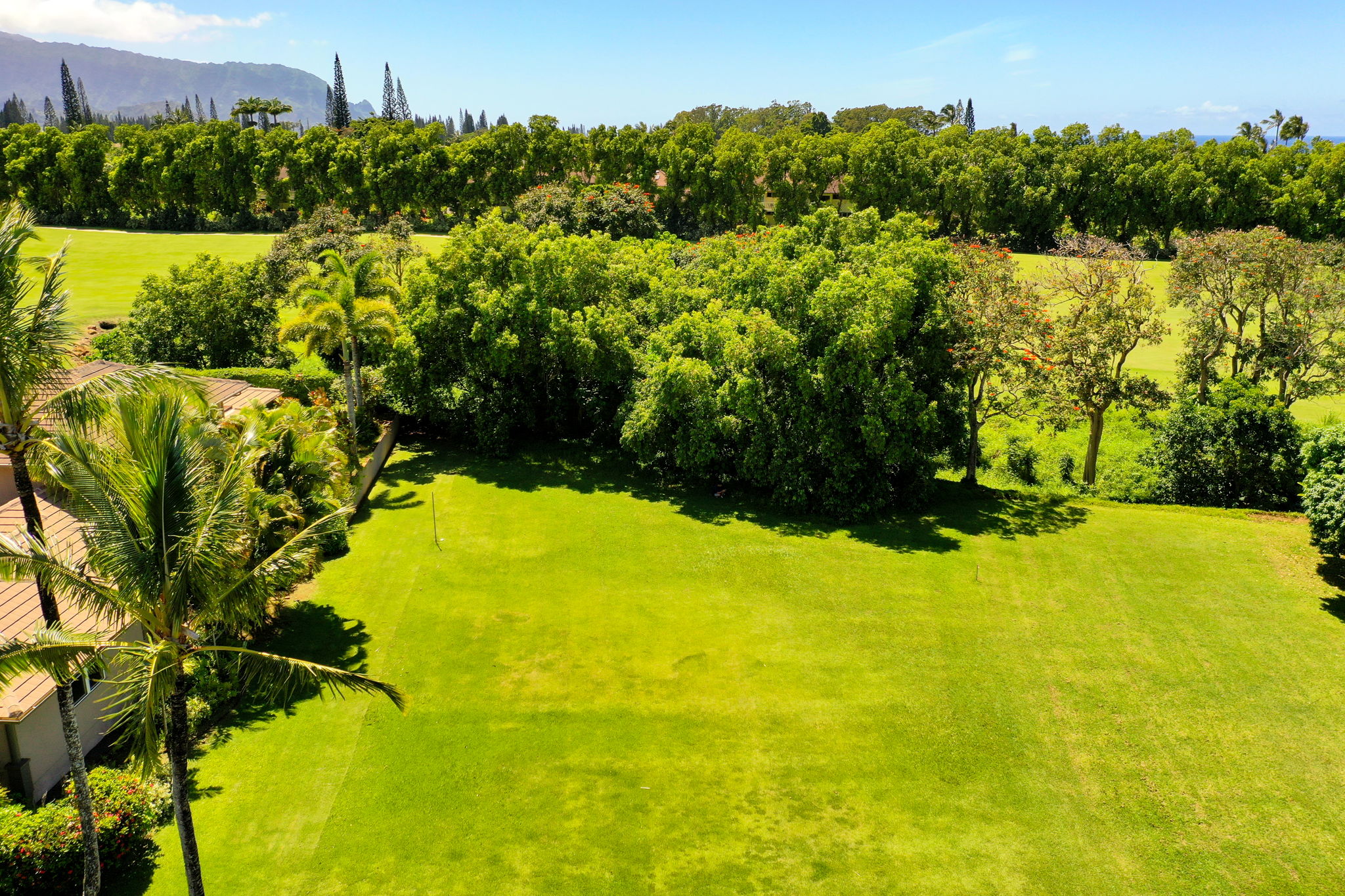 4058 Aloalii Dr Property Photo 11