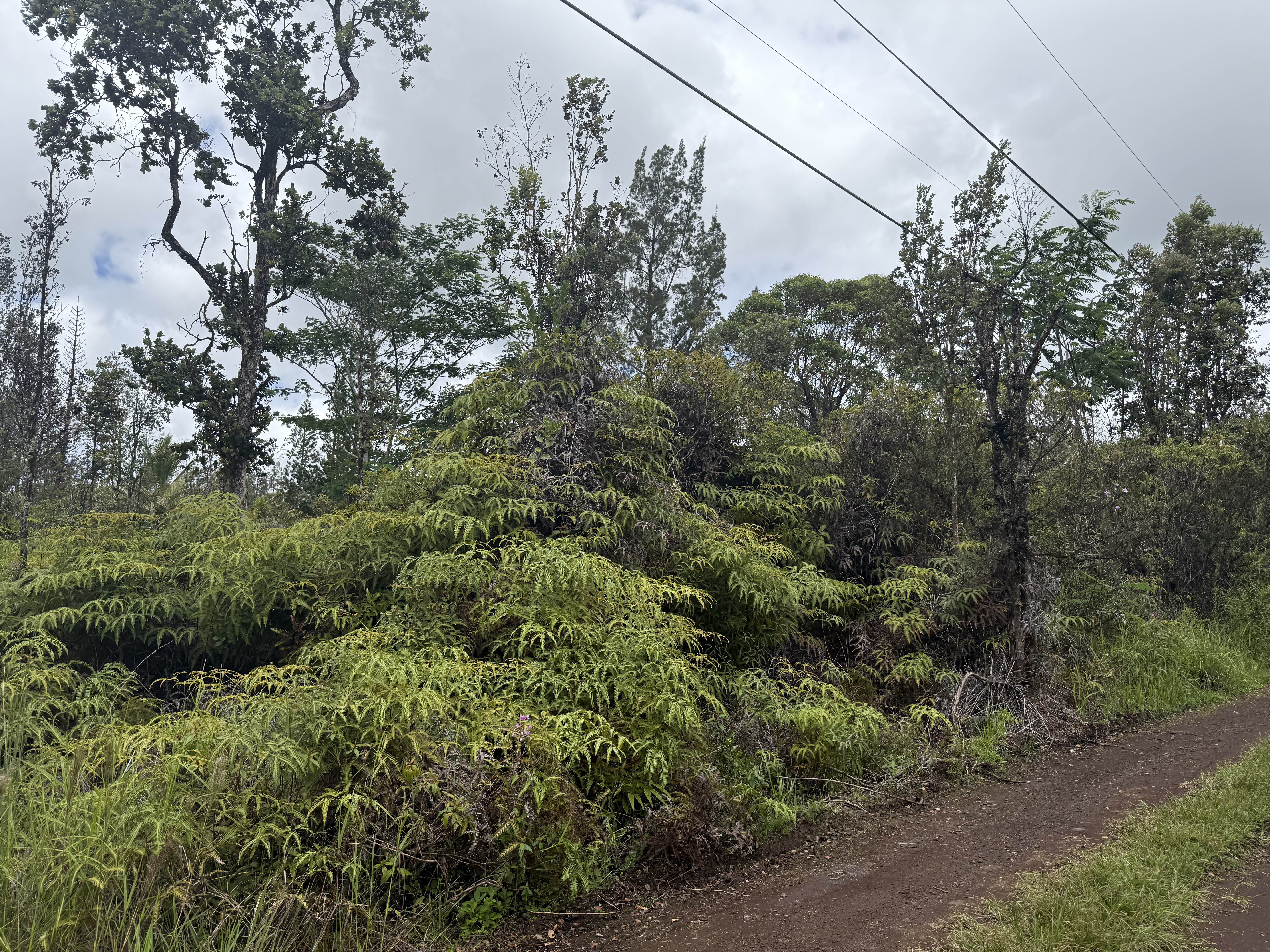 King Kamehameha Blvd Property Photo 1