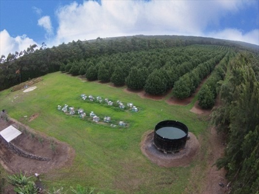 94-3220 Lorenzo Rd Property Photo 9