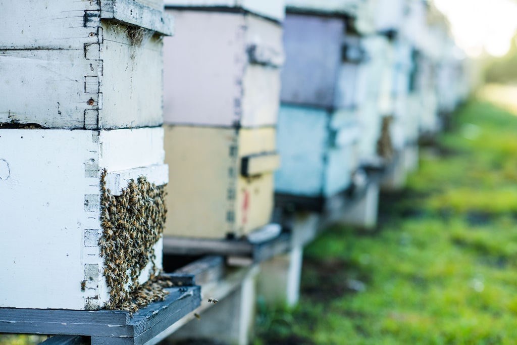 94-3220 Lorenzo Rd Property Photo 10