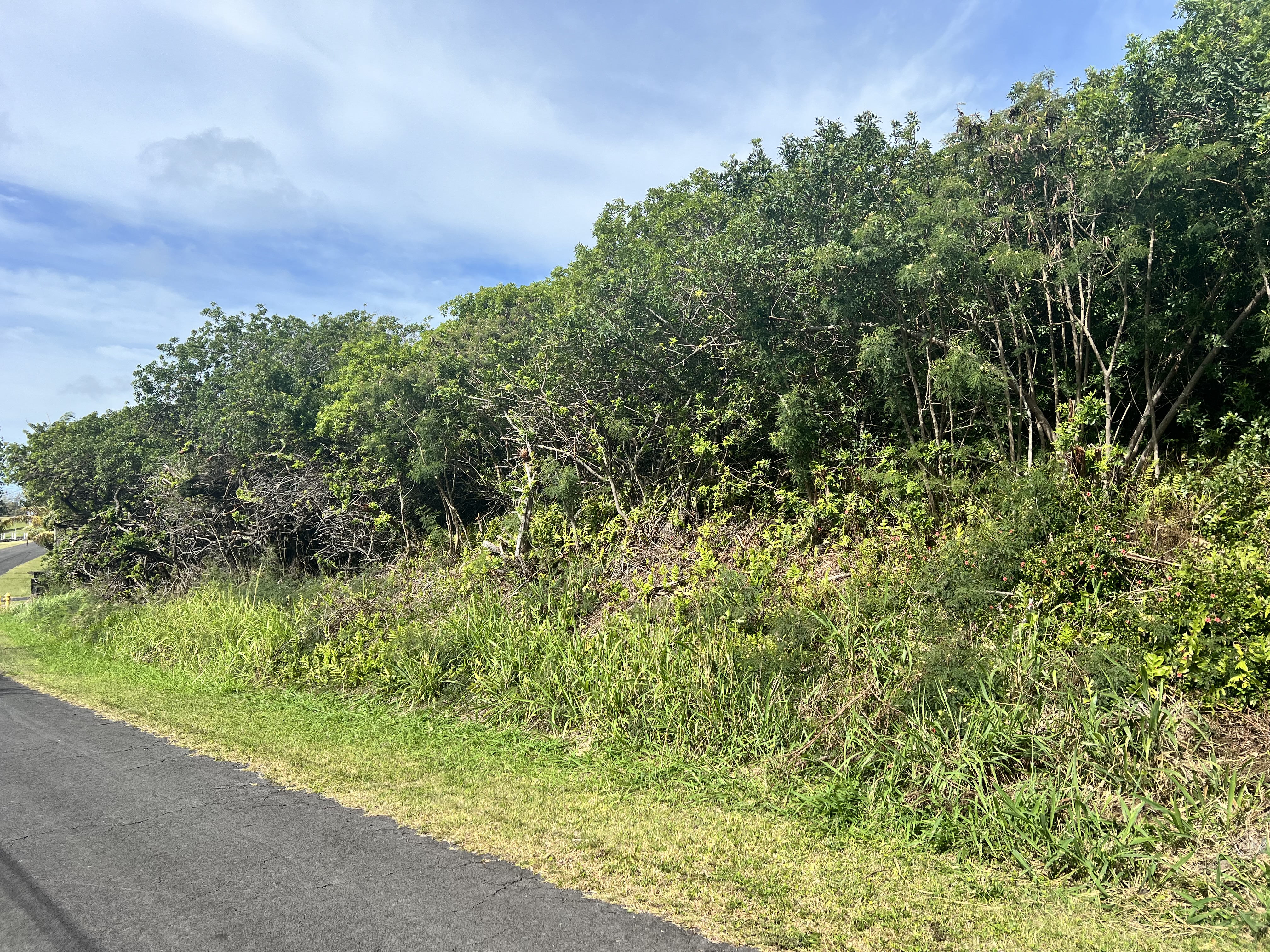 Kaulua St Property Photo 1