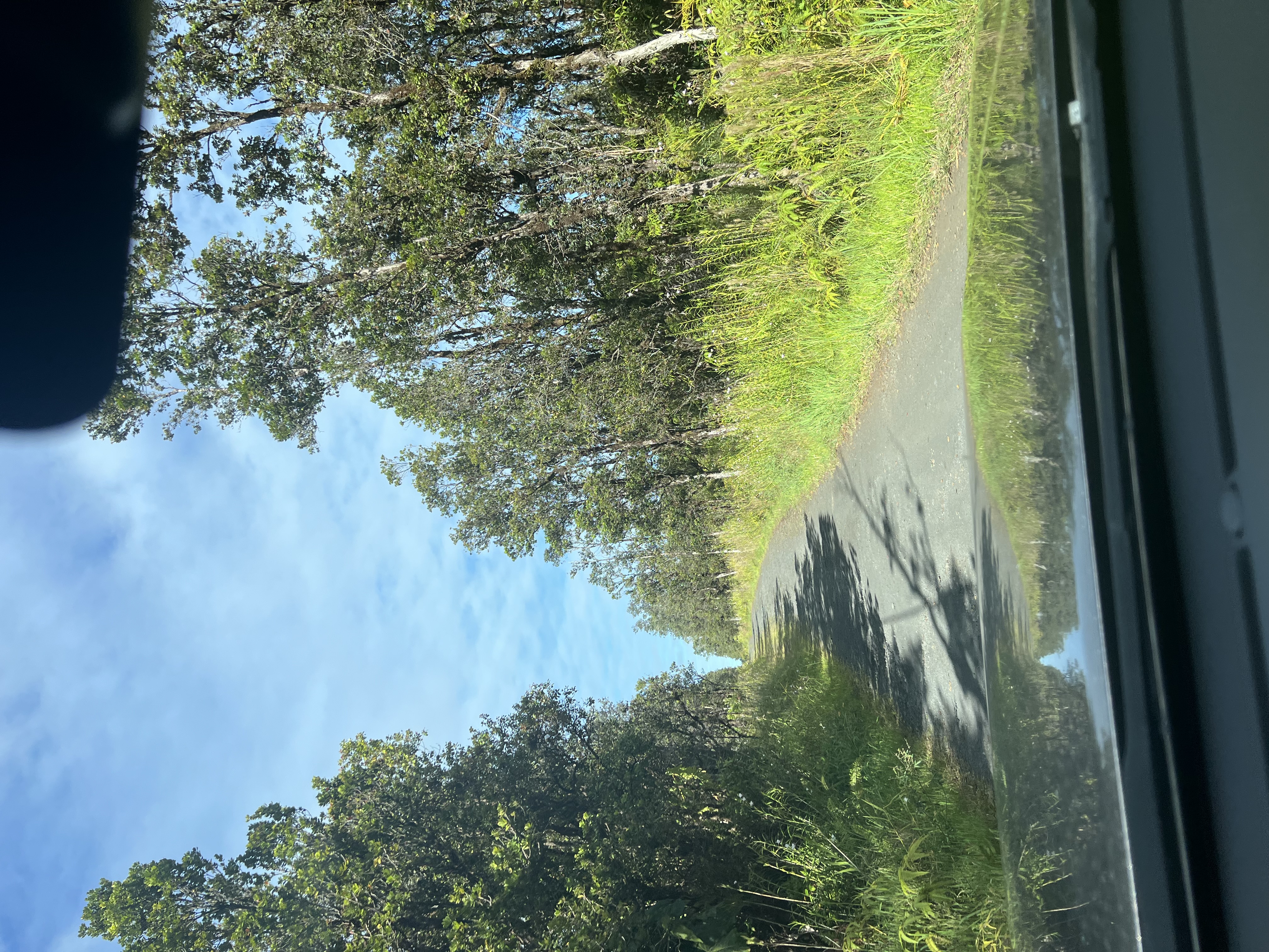 Wailele St Property Photo 2