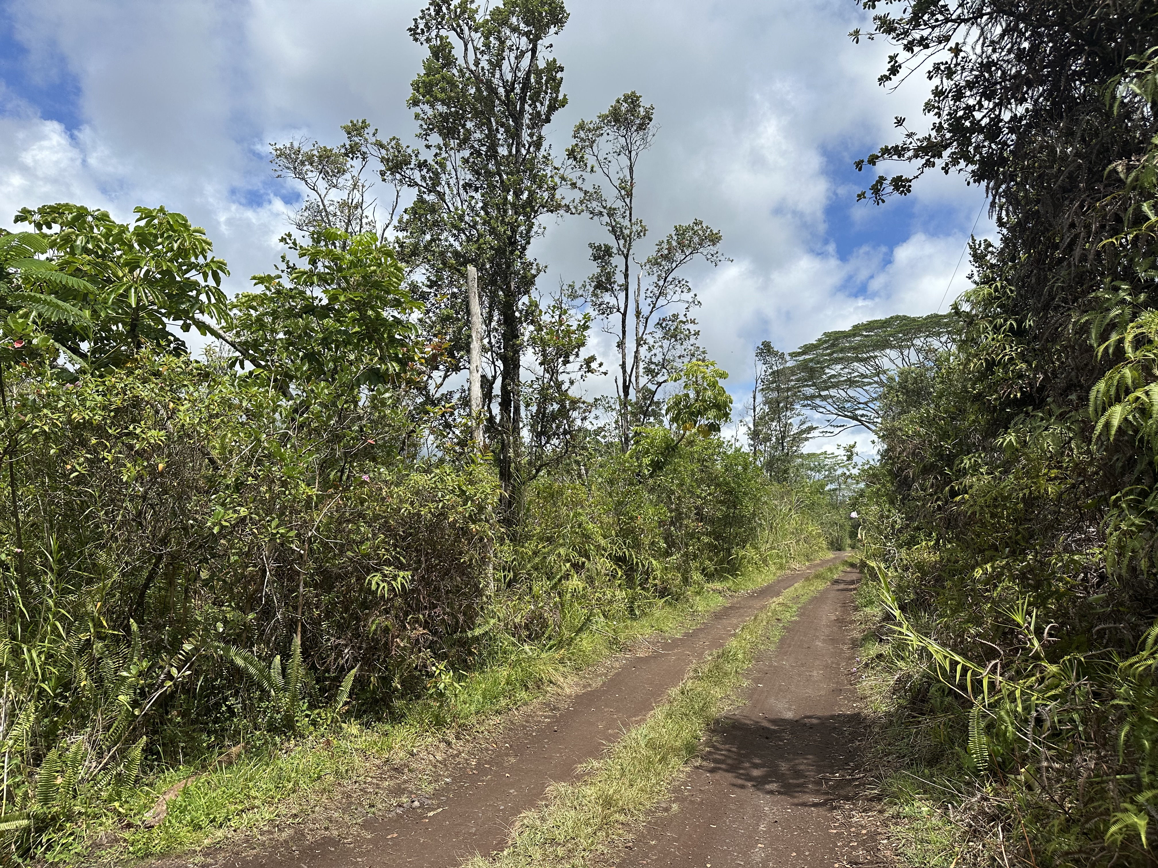 King Kamehameha Blvd Property Photo 1