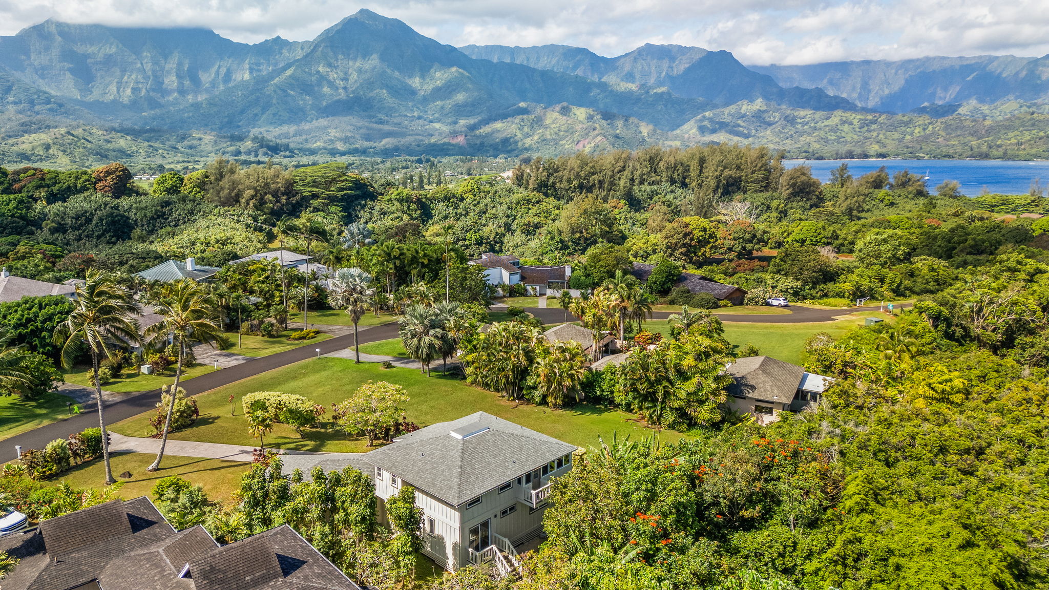 4204 Kekuanaoa Ln Property Photo 3
