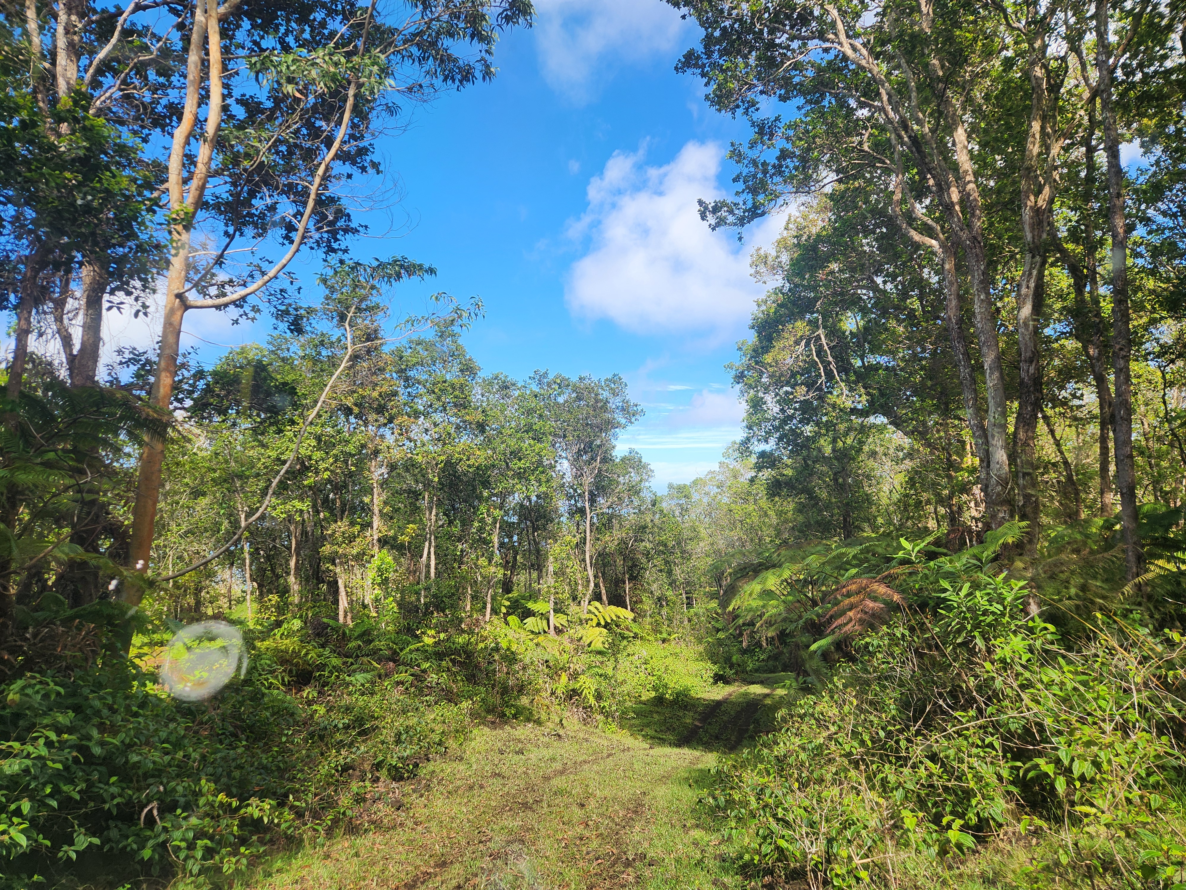 Above Mamalahoa Property Photo 2