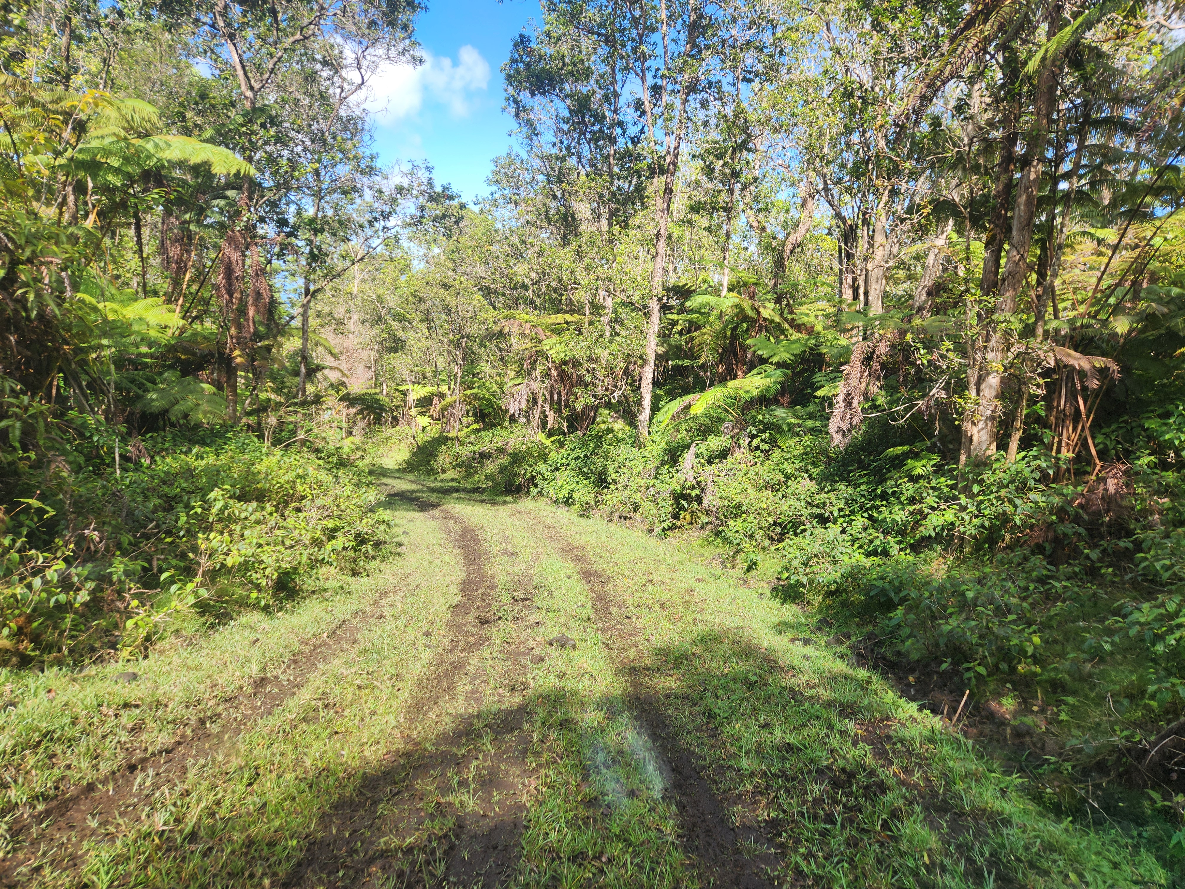 Above Mamalahoa Property Photo 3