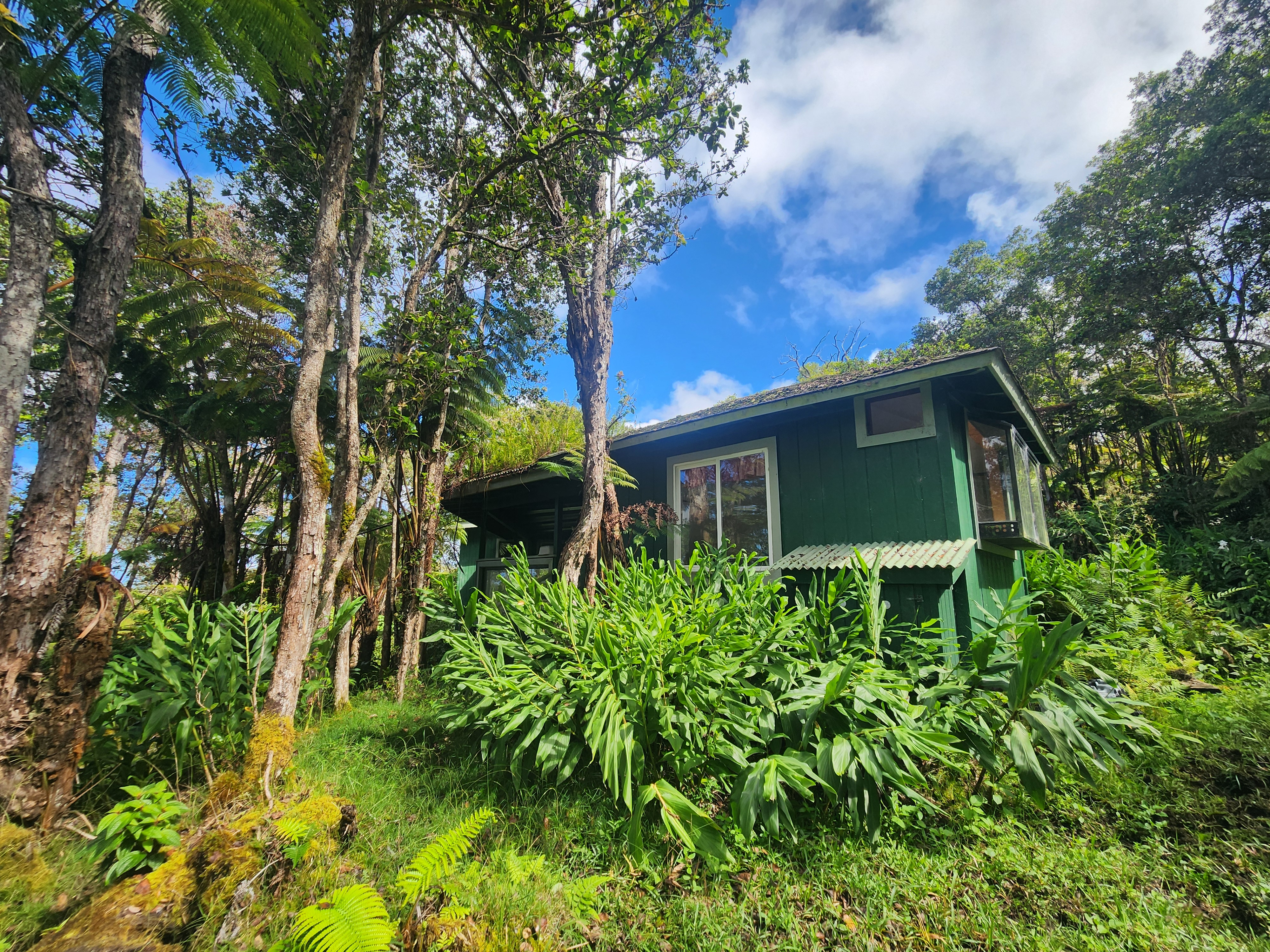 Above Mamalahoa Property Photo 5