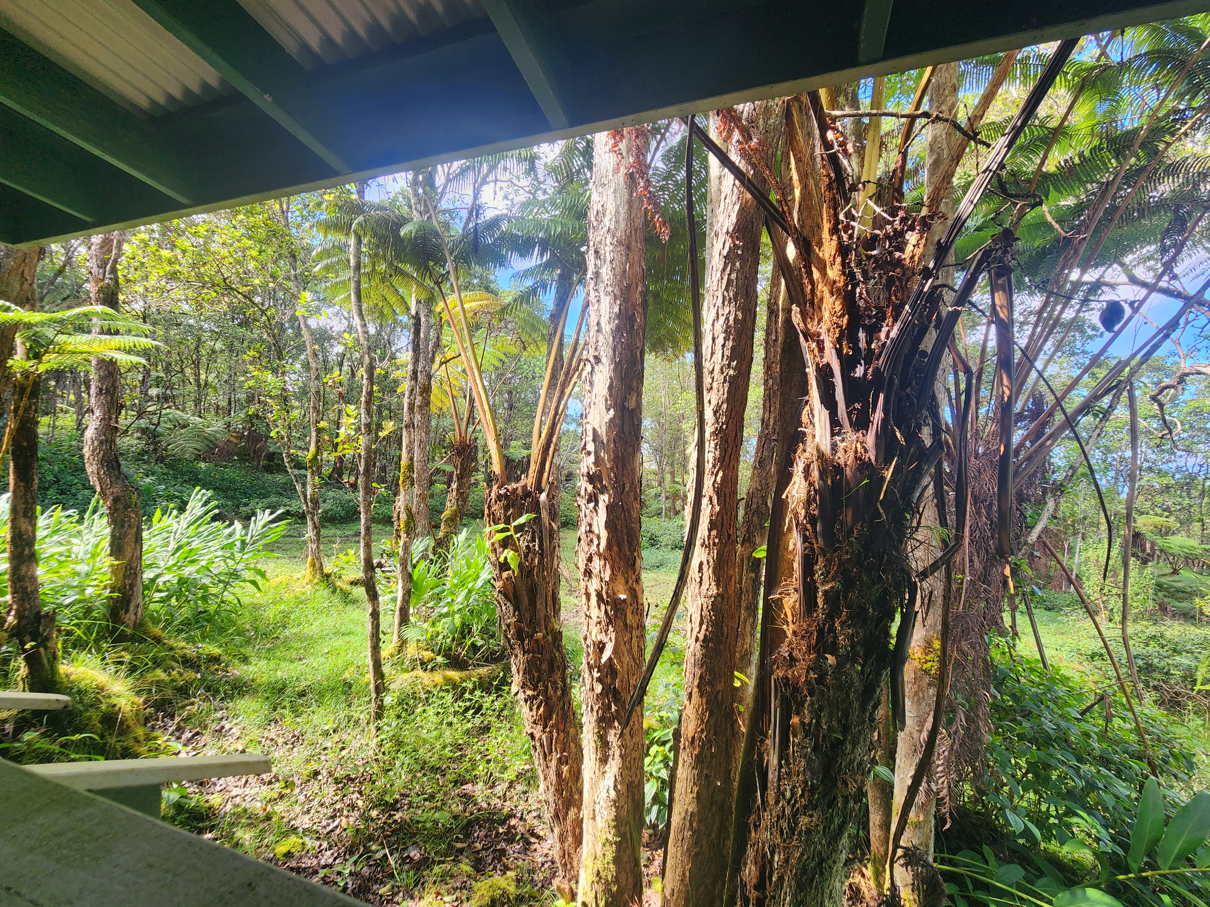 Above Mamalahoa Property Photo 15