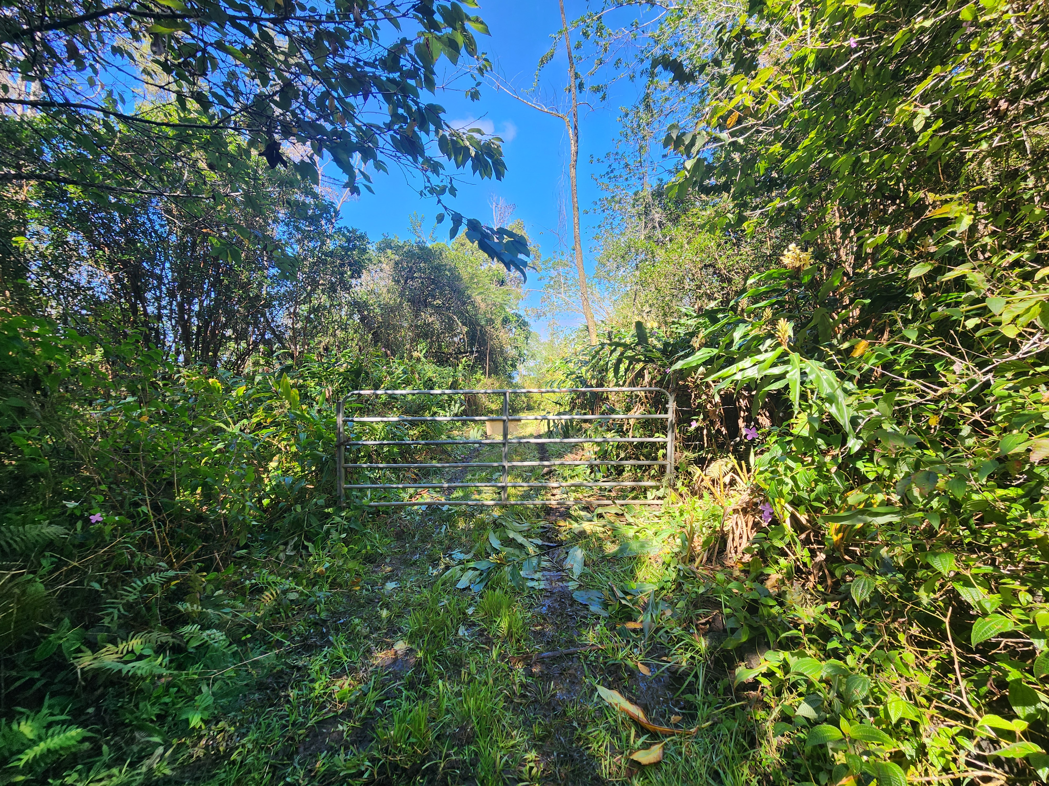 Above Mamalahoa Property Photo 17