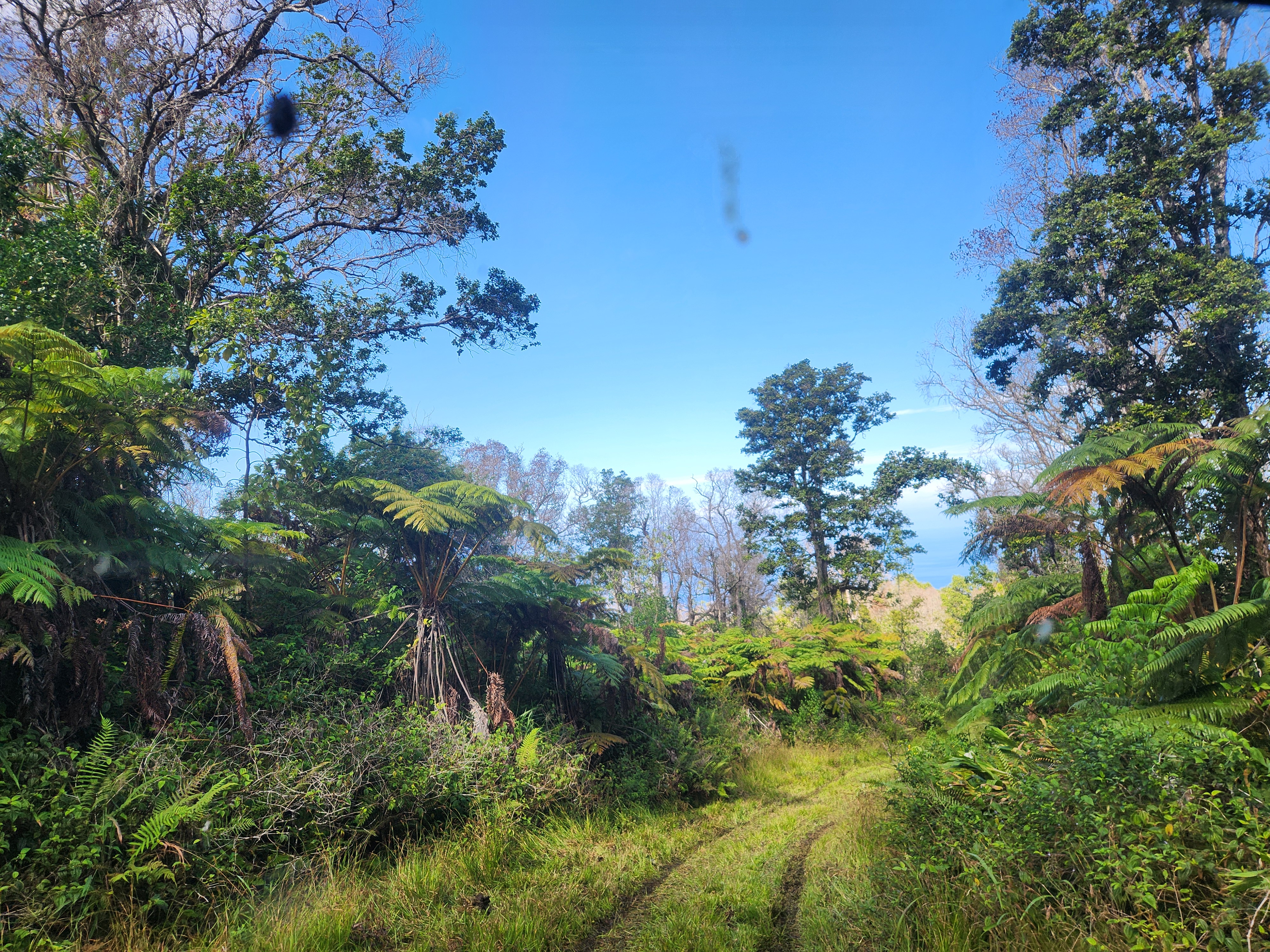 Above Mamalahoa Property Photo 18