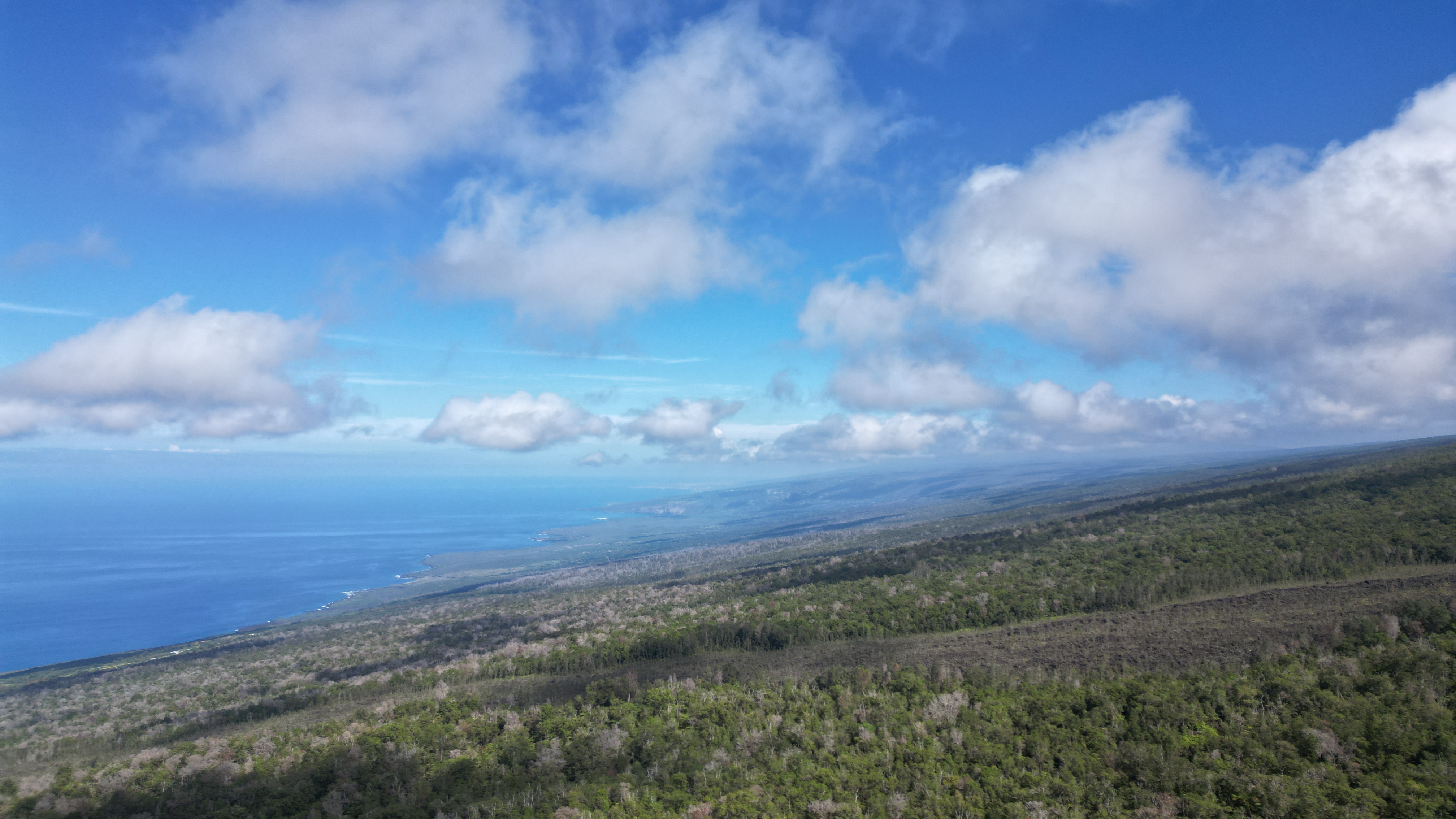 Above Mamalahoa Property Photo 19