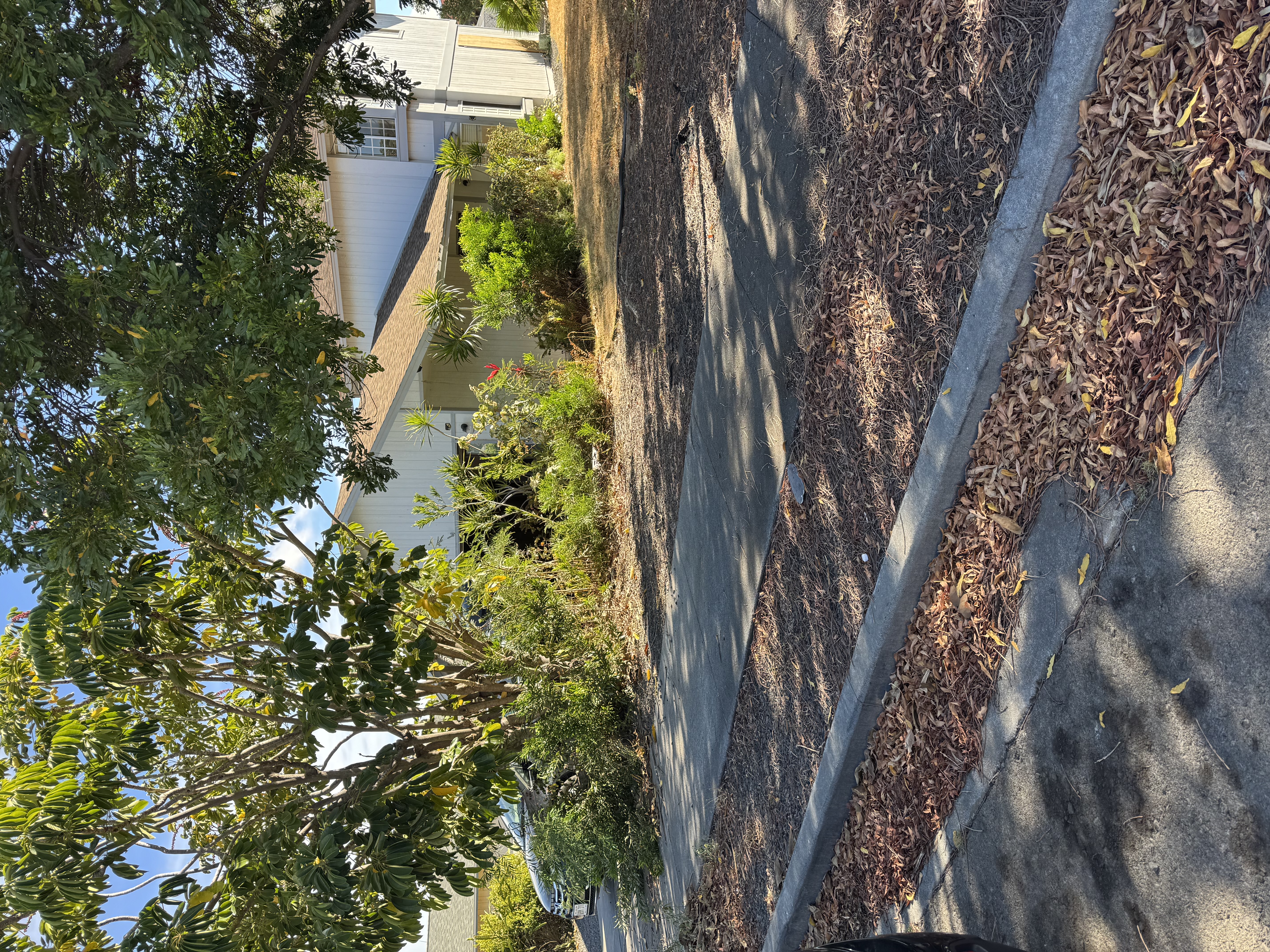 68-3719 Kimo Nui St Property Photo 1