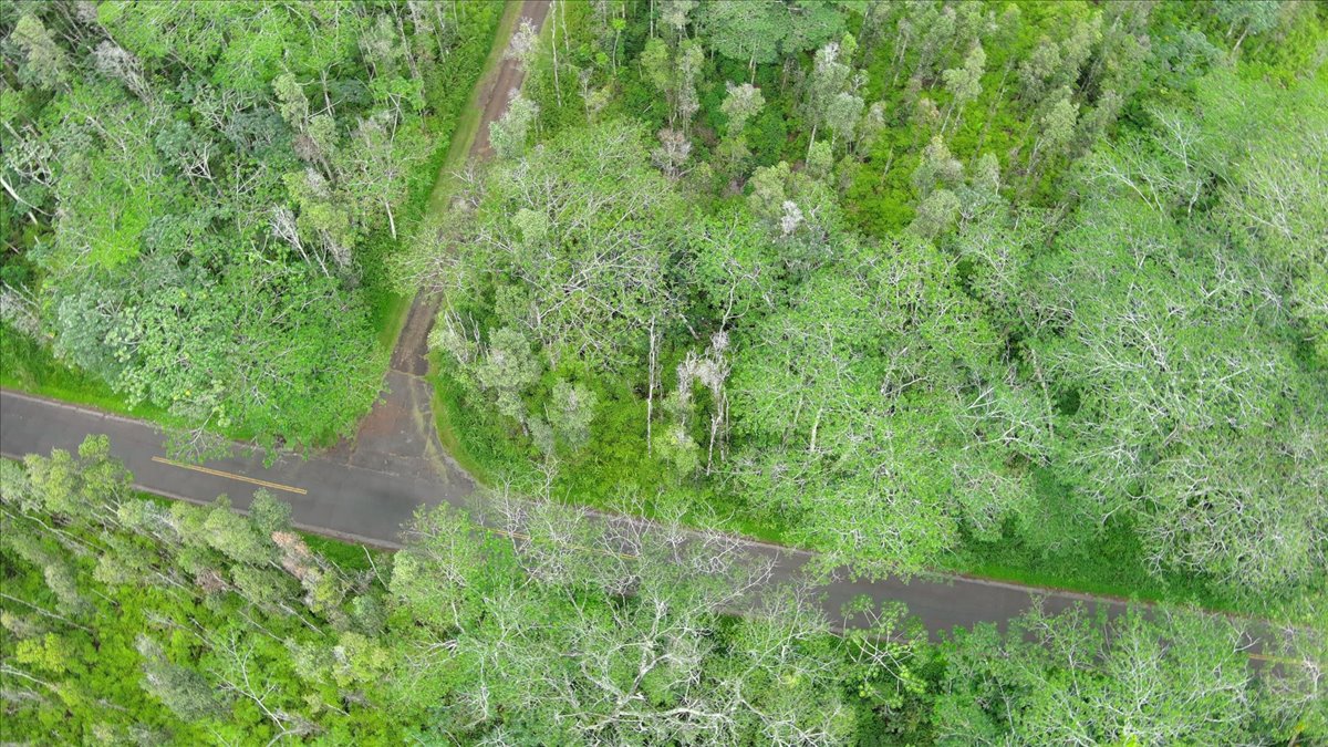 14-3502 Kapu Ln Property Photo 4