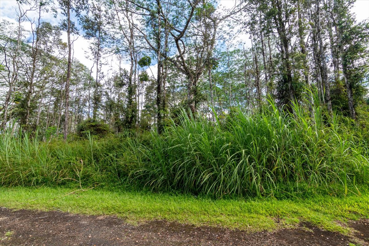 14-3502 Kapu Ln Property Photo 5