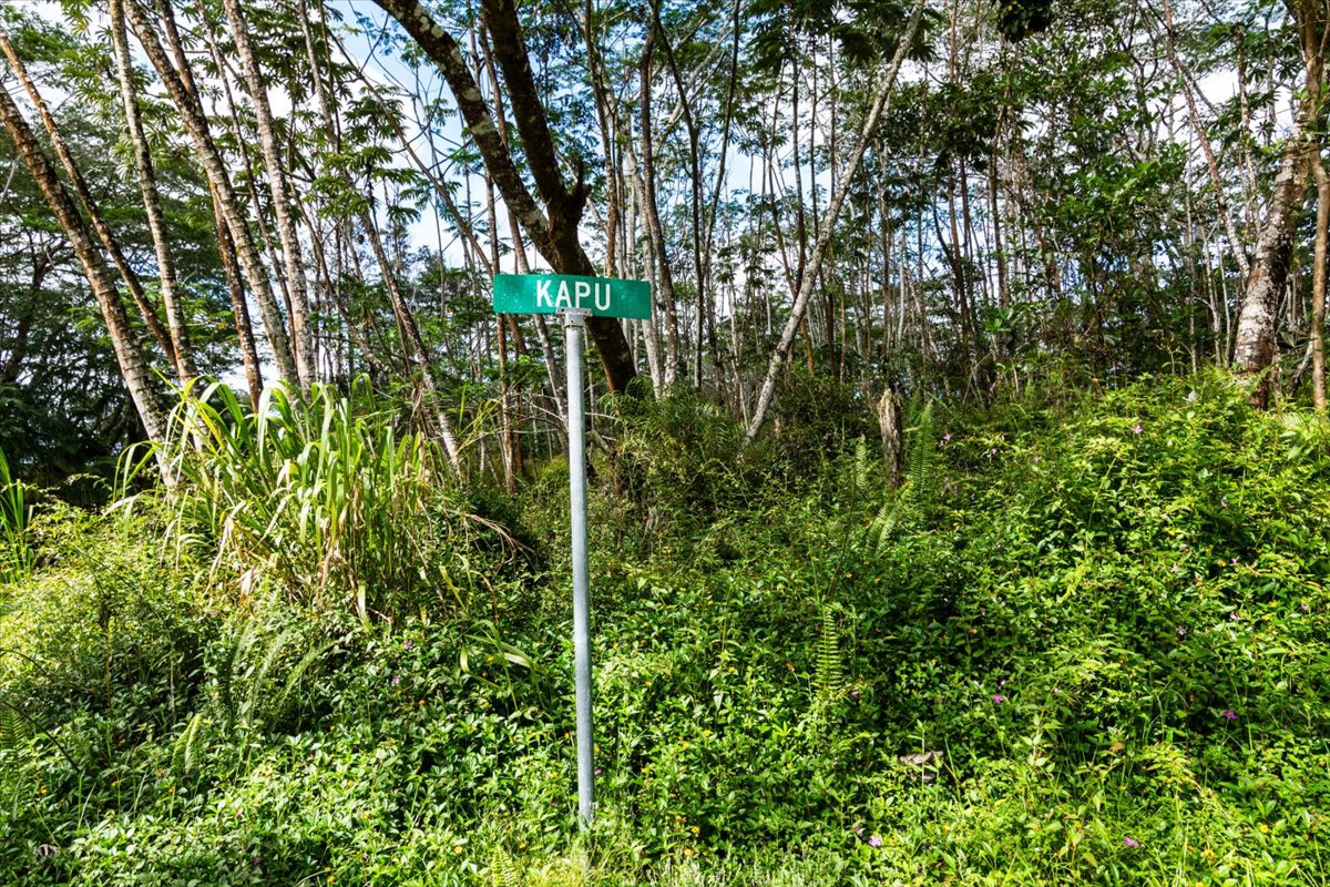 14-3502 Kapu Ln Property Photo 6