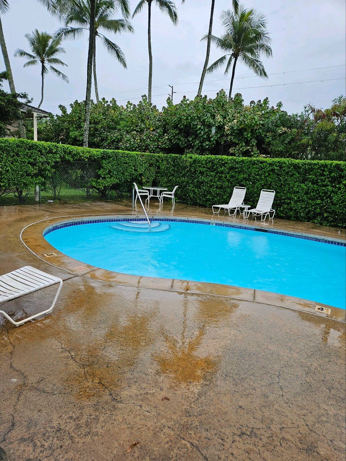 525 Aleka Lp K3 Property Photo 14
