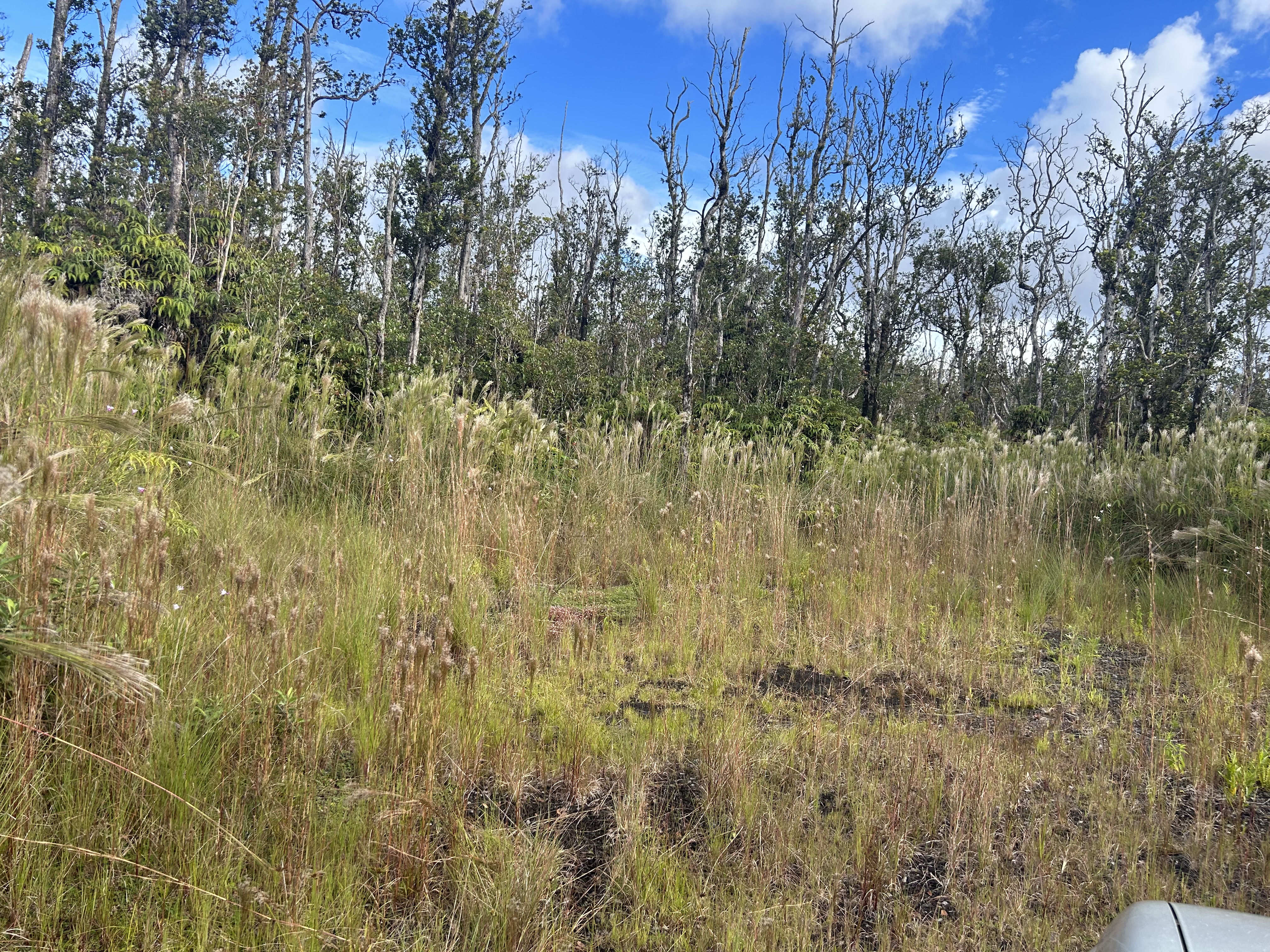 Ohialani Rd Property Photo 1