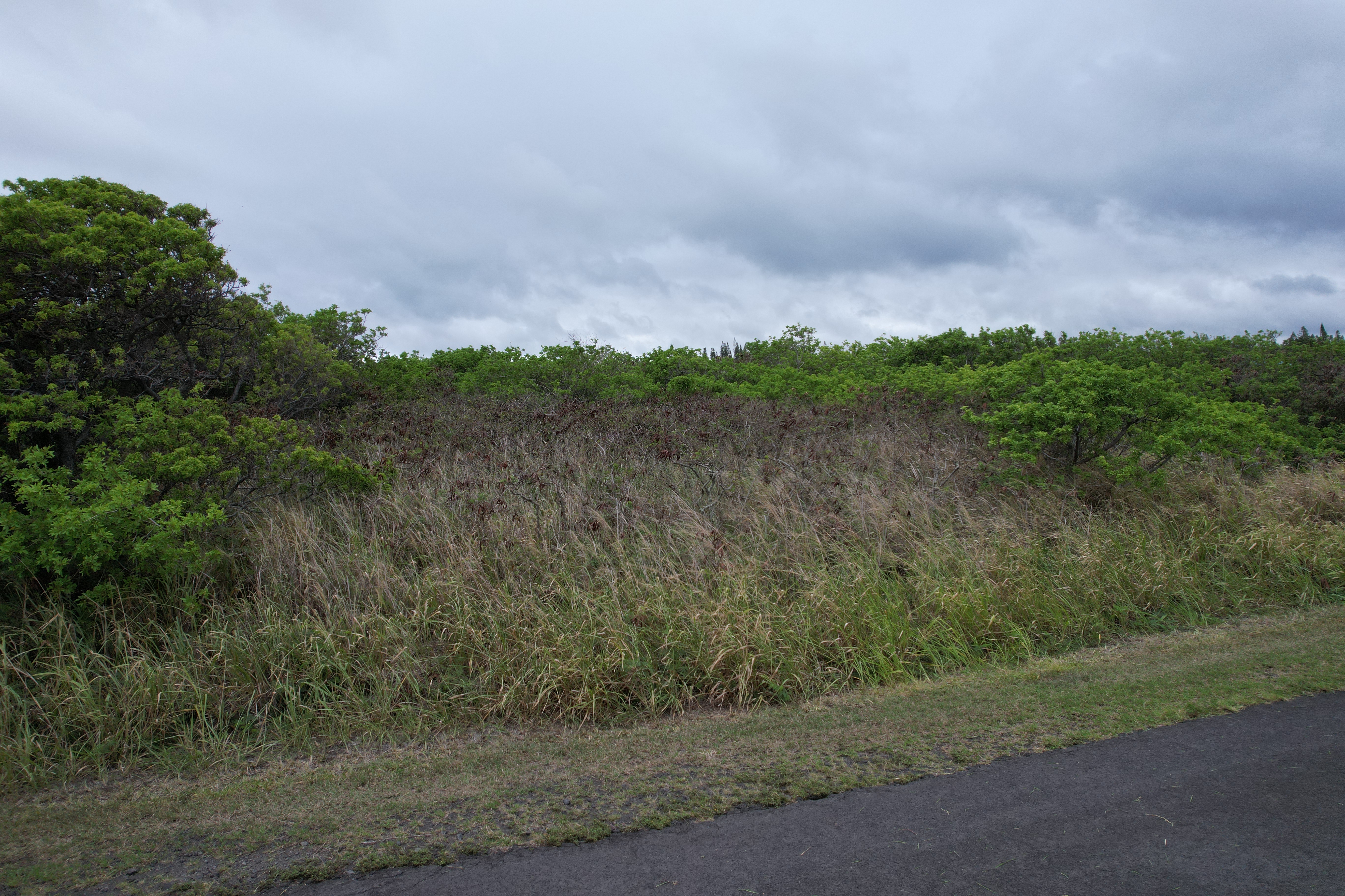 Hekau St Property Photo 3