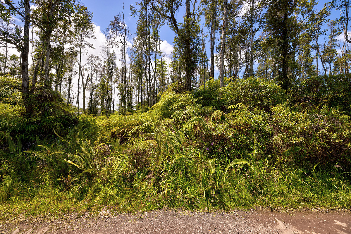 Nanawale Farms Rd Property Photo 6