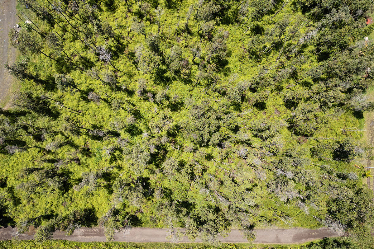 Nanawale Farms Rd Property Photo 10