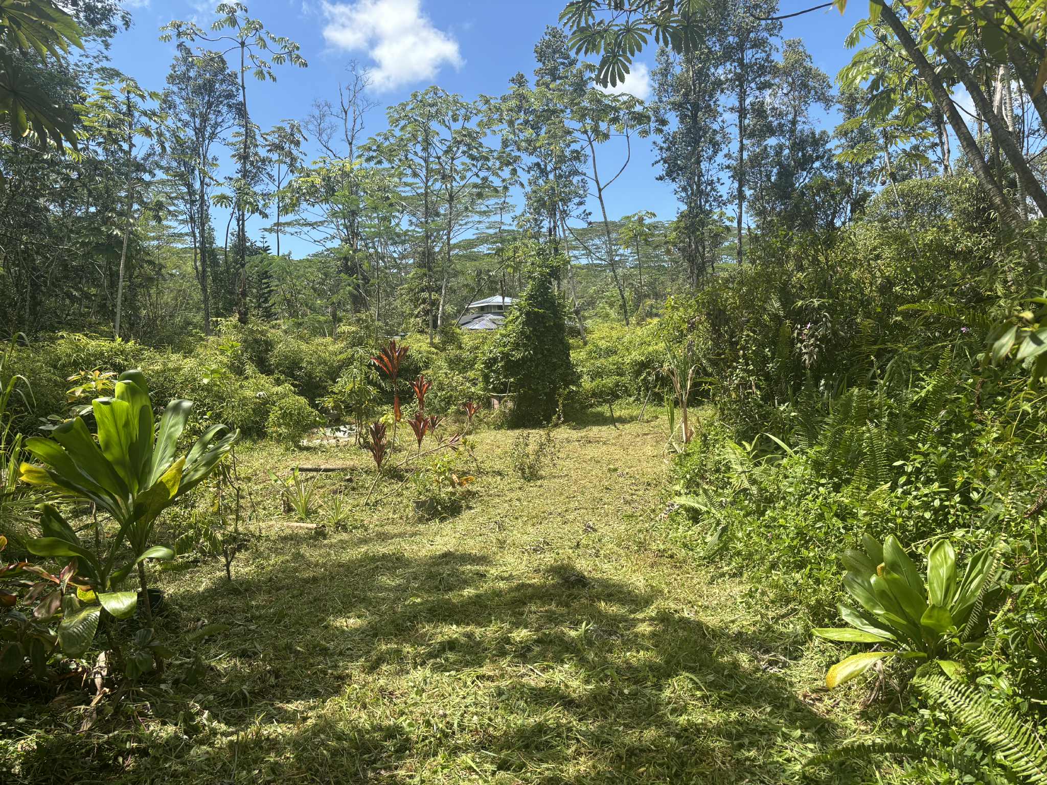 14-3379 Pakalana Rd Property Photo 4