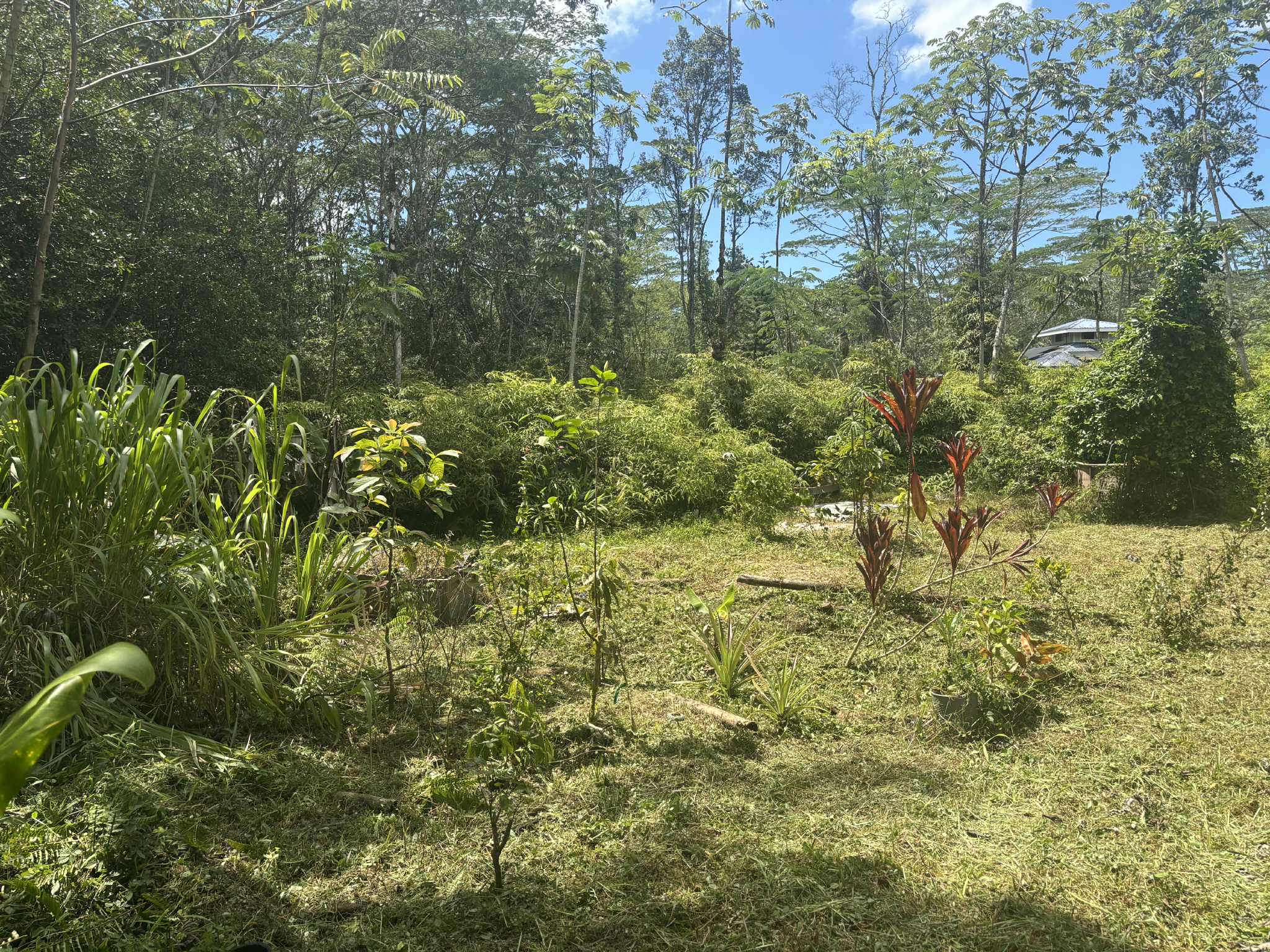 14-3379 Pakalana Rd Property Photo 5