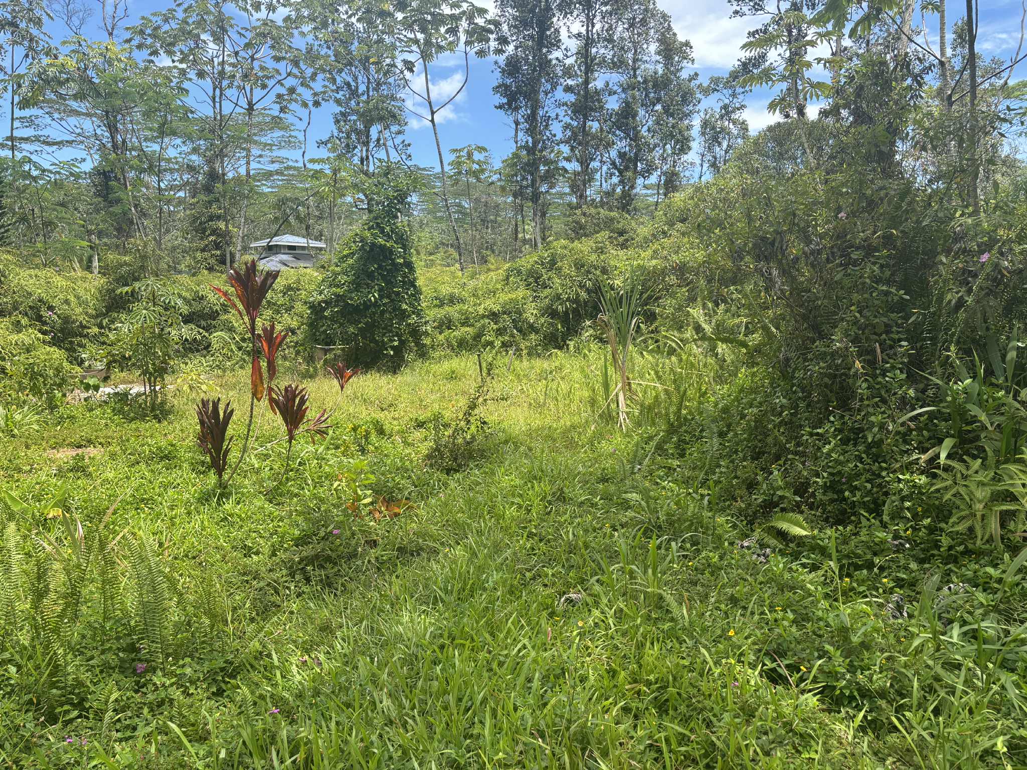 14-3379 Pakalana Rd Property Photo 6