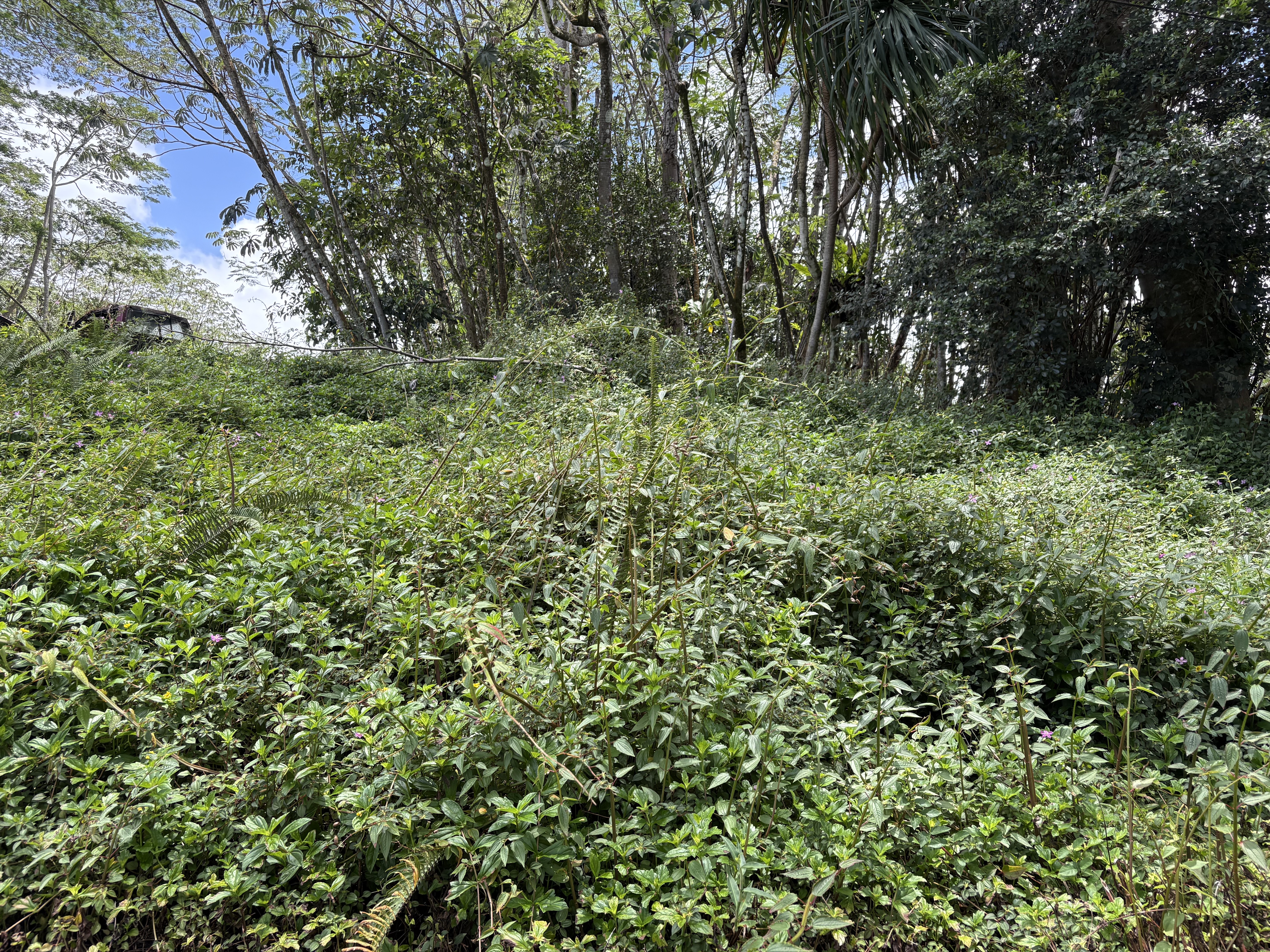15-281 Kahakai Blvd Property Photo 4