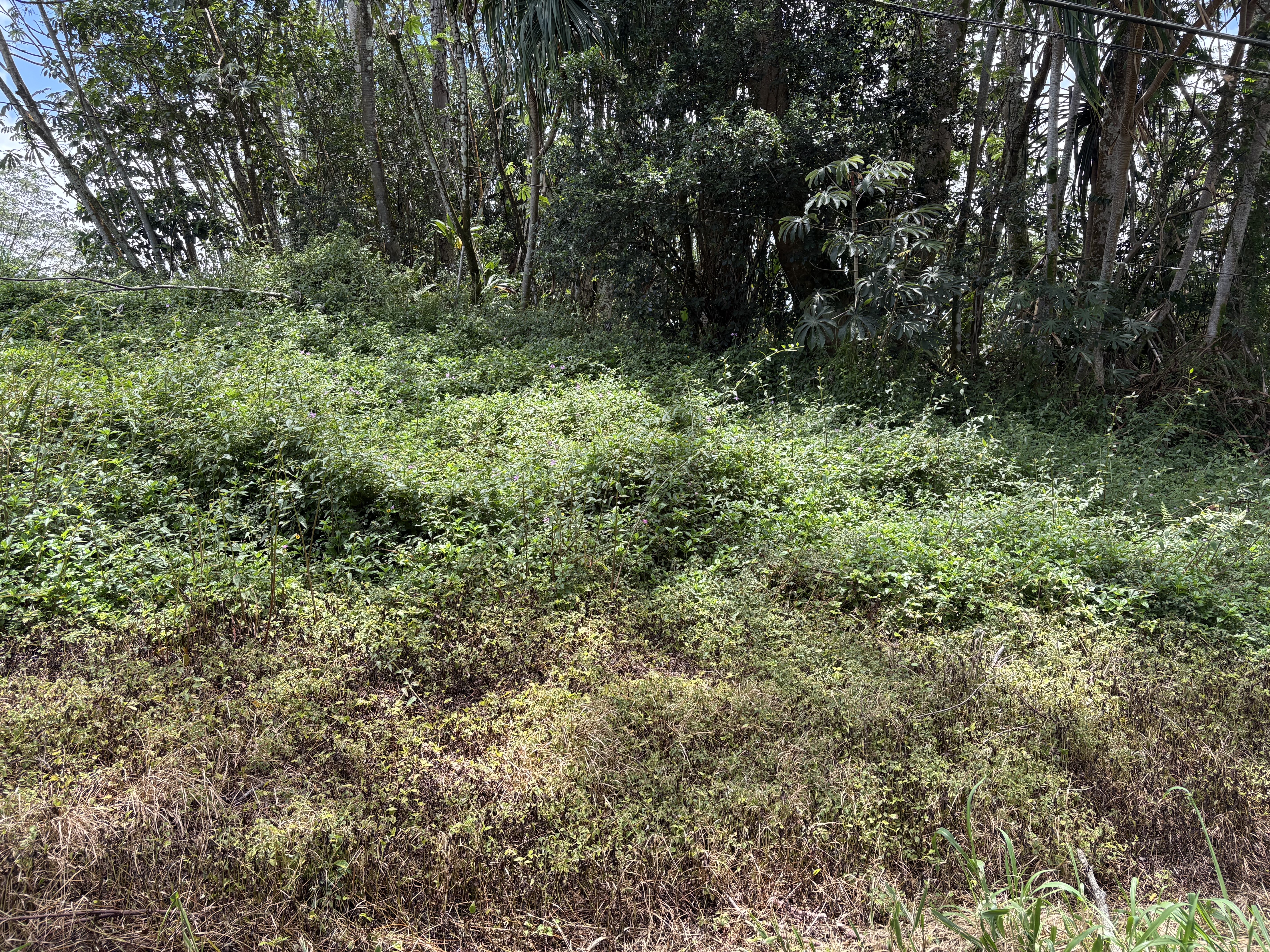 15-281 Kahakai Blvd Property Photo 7
