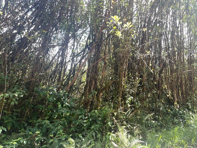 17-3352 Maunalani Tract Rd Property Photo 2