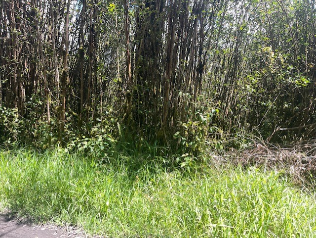 17-3352 Maunalani Tract Rd Property Photo 3