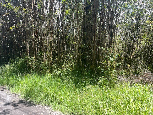 17-3352 Maunalani Tract Rd Property Photo 4