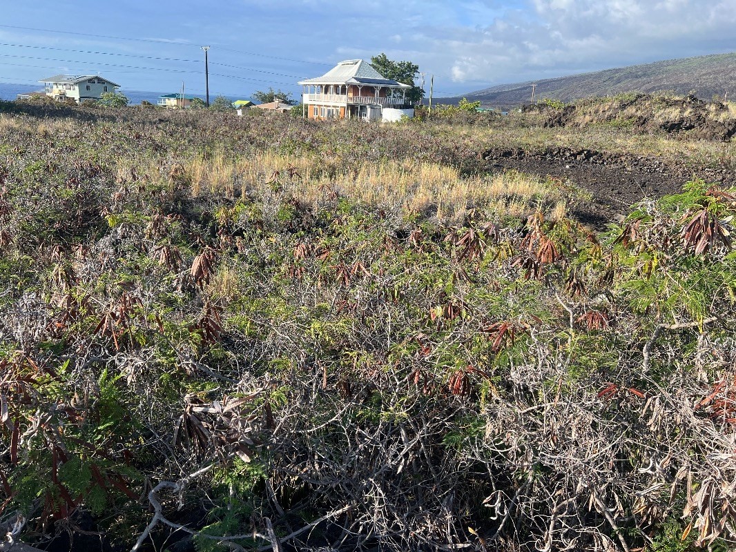 Aoao Ave Property Photo 6