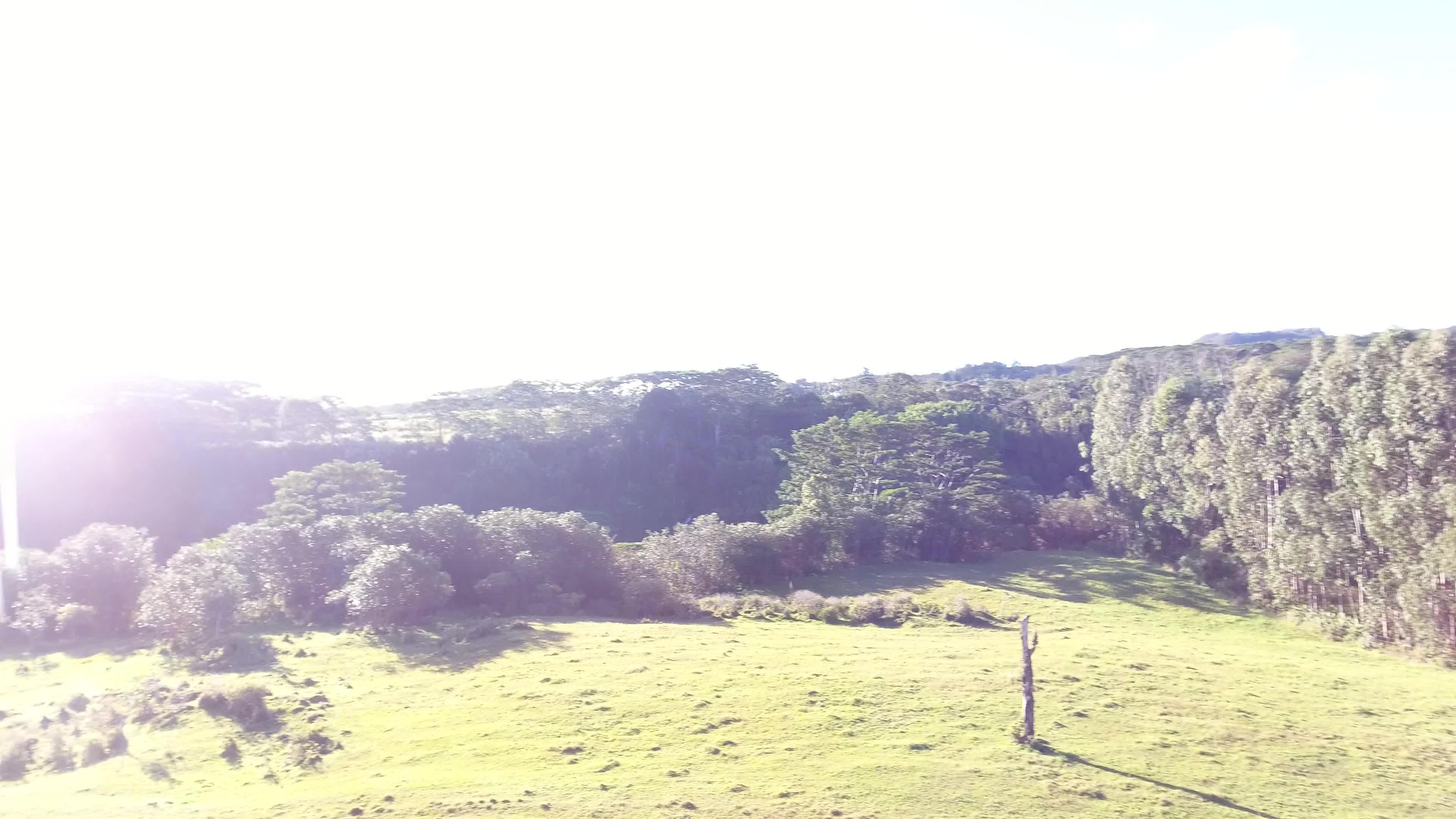 Kaiwiki Homestead Rd Property Photo 3