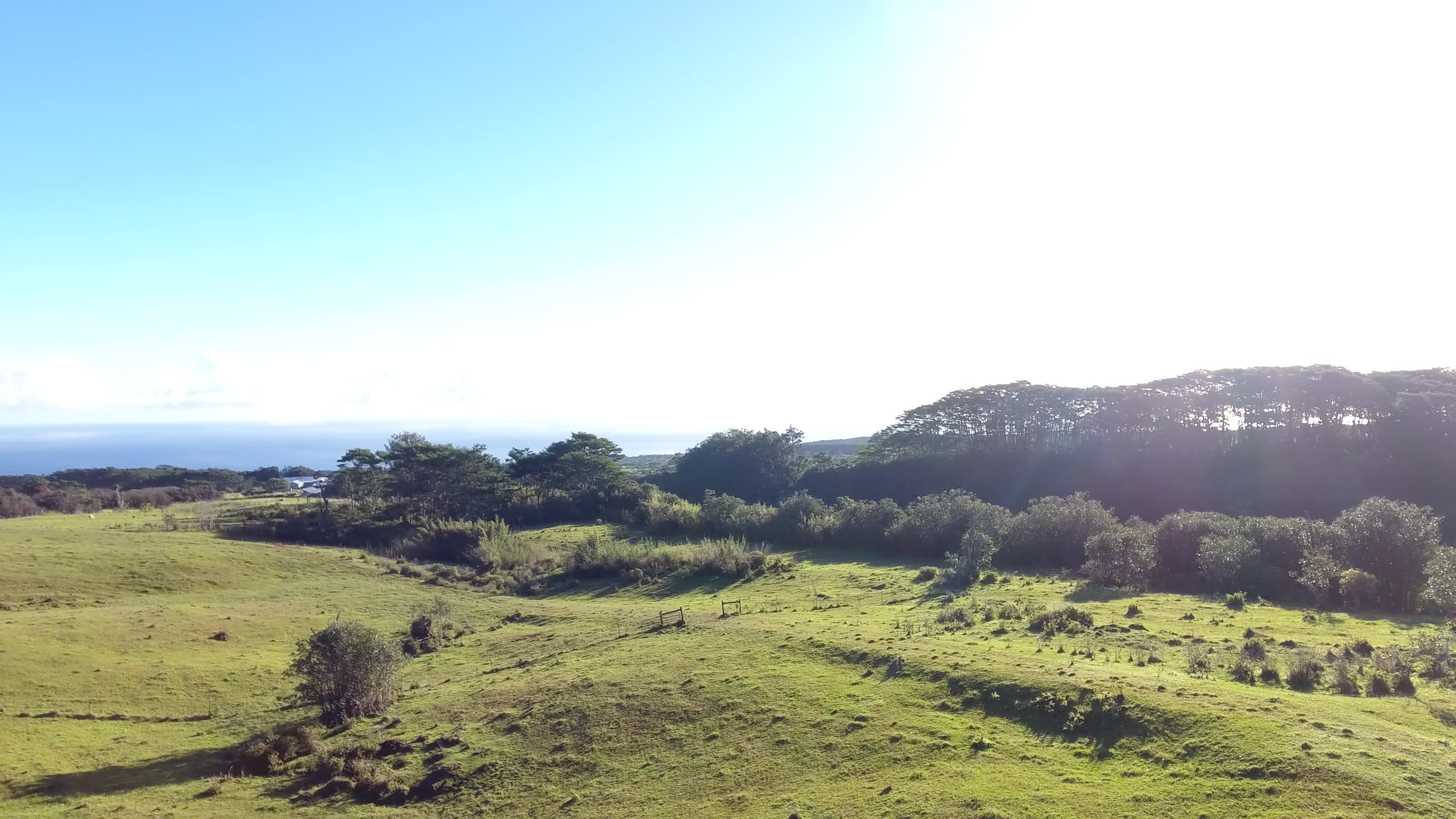 Kaiwiki Homestead Rd Property Photo 5