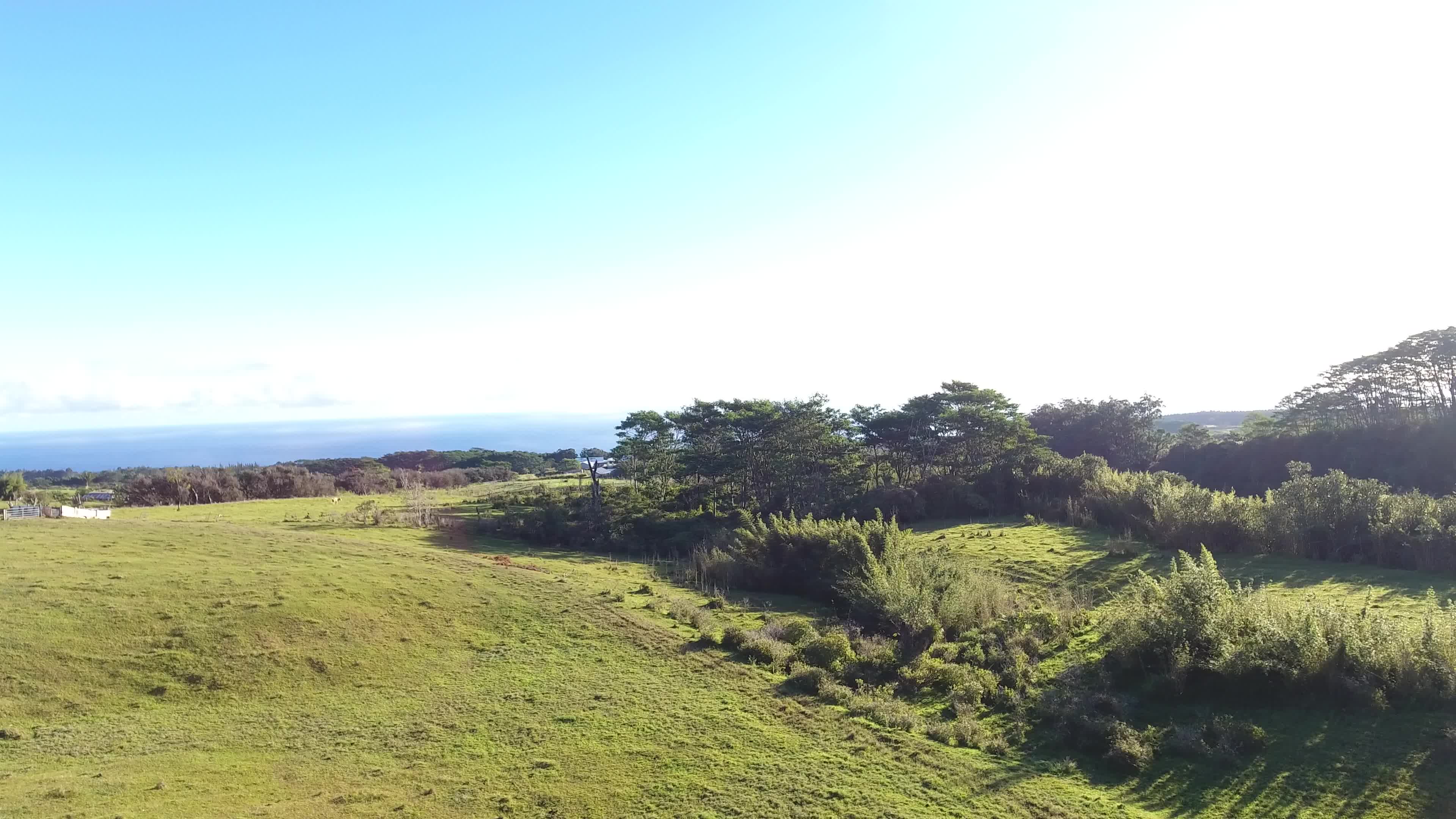 Kaiwiki Homestead Rd Property Photo 7