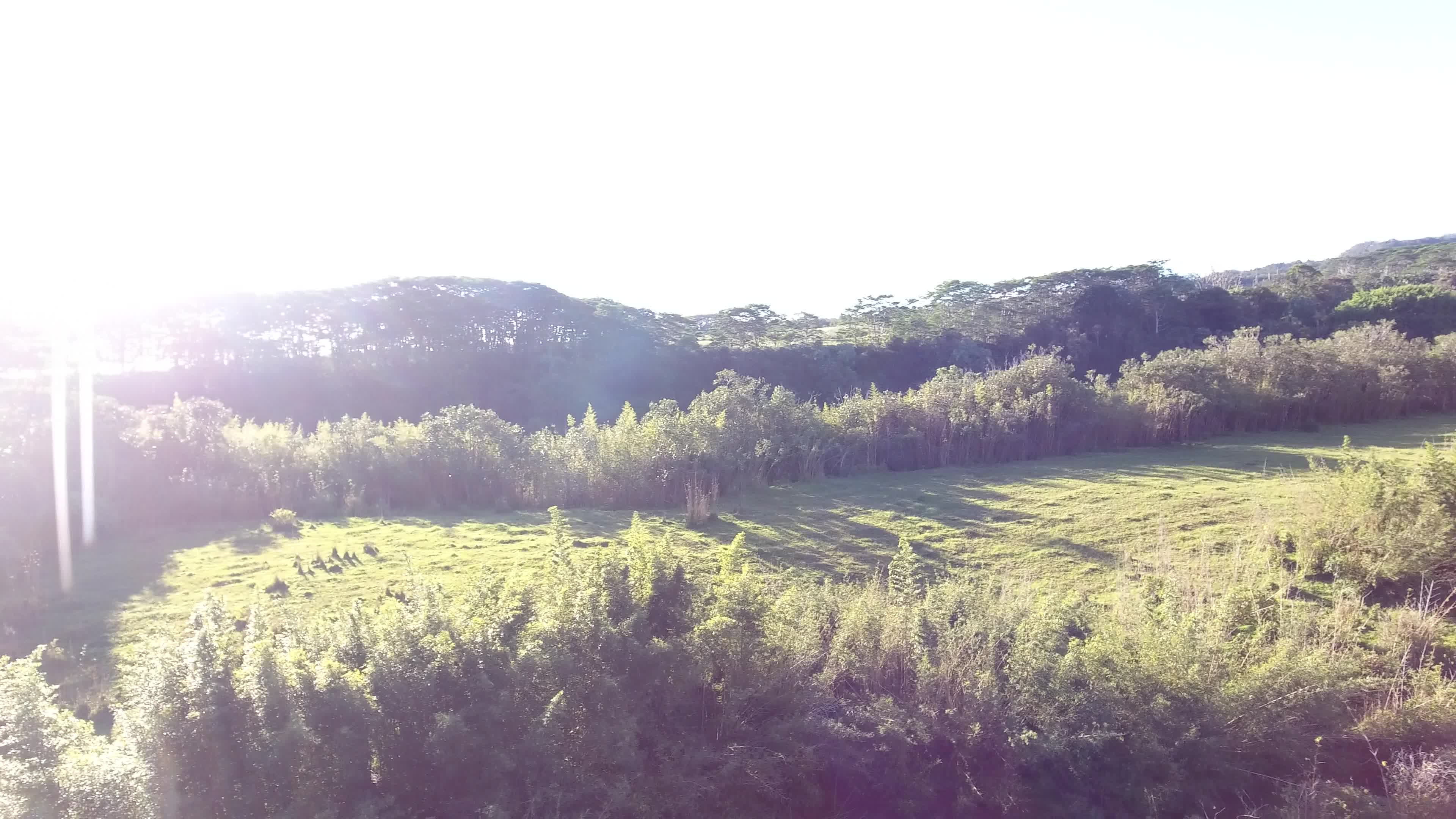 Kaiwiki Homestead Rd Property Photo 8