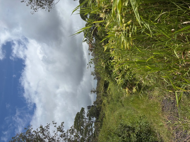 Glenwood Rd Property Photo 3