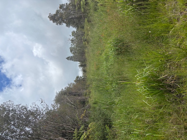 Glenwood Rd Property Photo 5