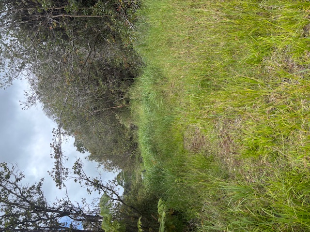Glenwood Rd Property Photo 6