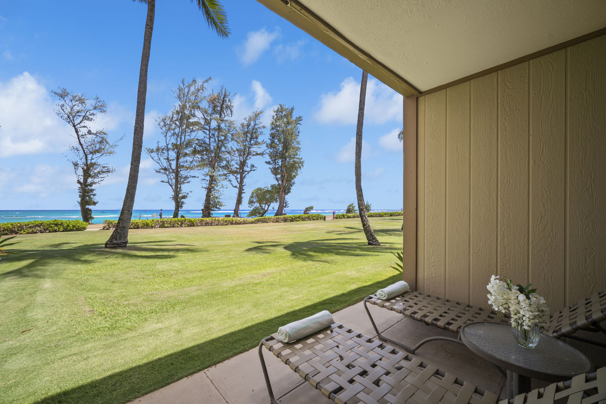 4-1250 Kuhio Hwy D101 Property Photo 12