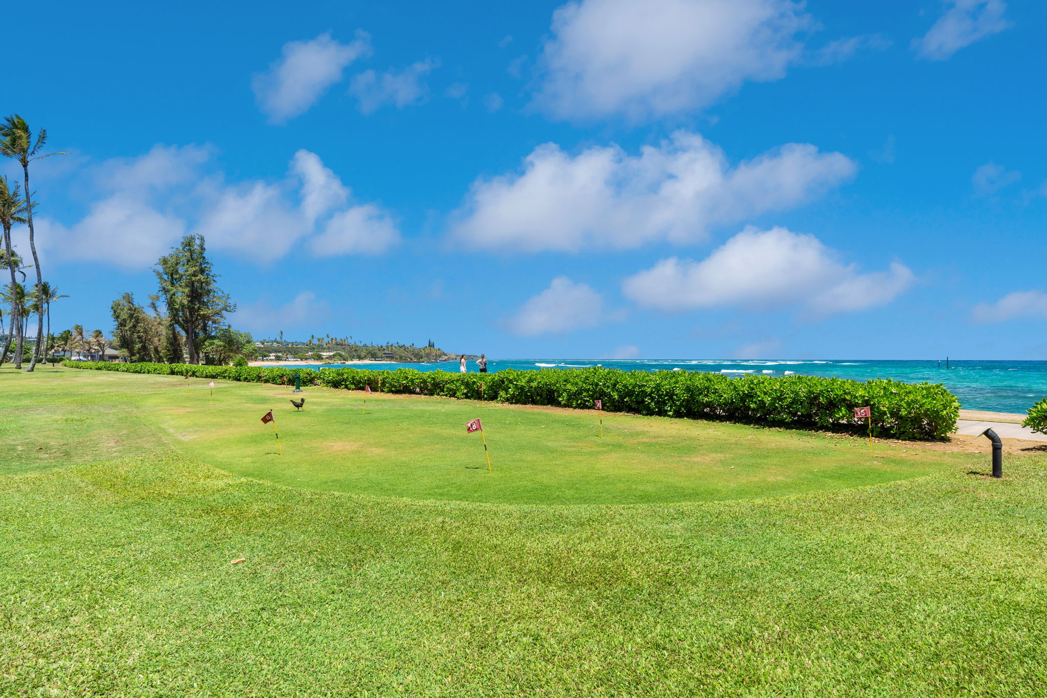 4-1250 Kuhio Hwy D101 Property Photo 26