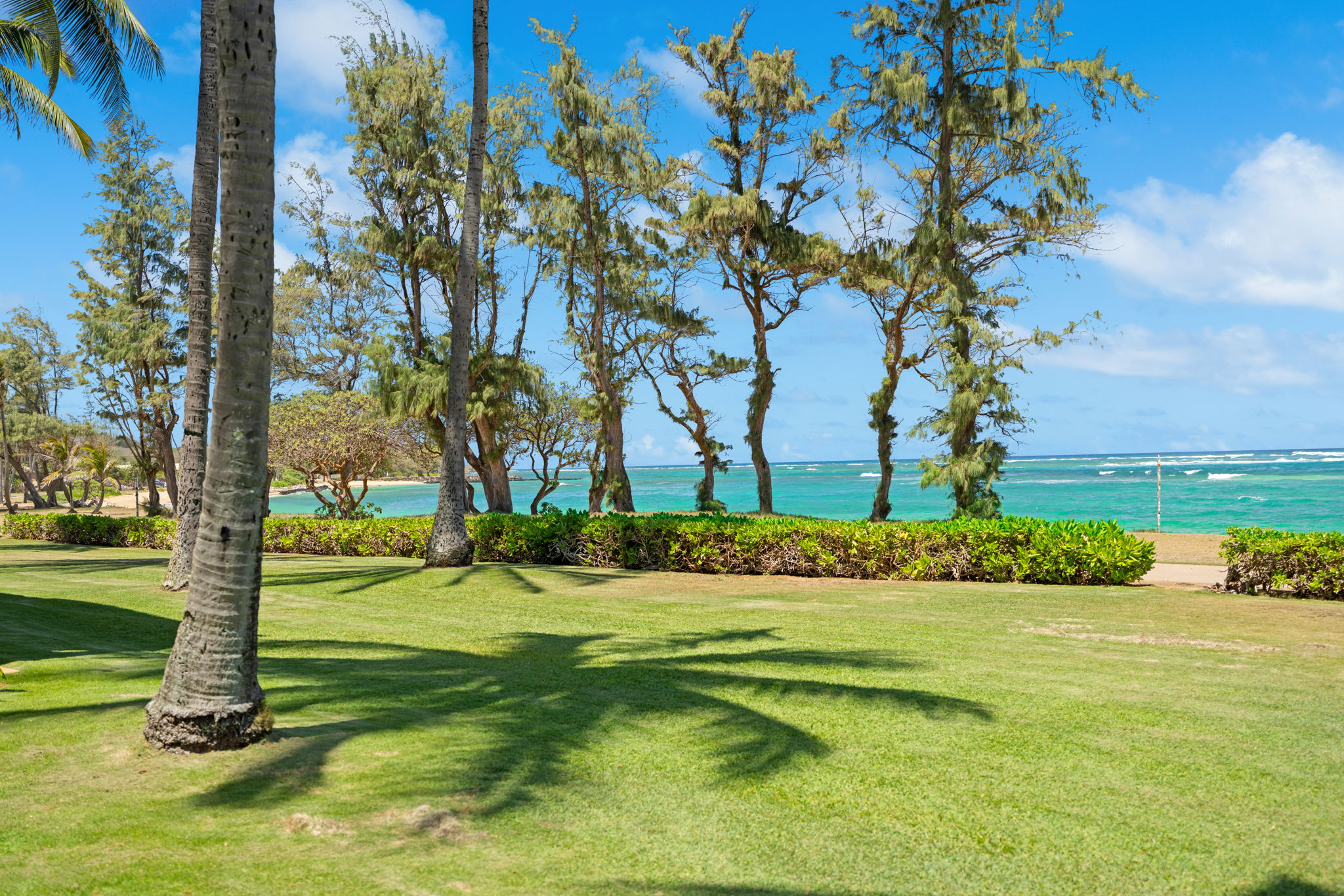 4-1250 Kuhio Hwy D101 Property Photo 27