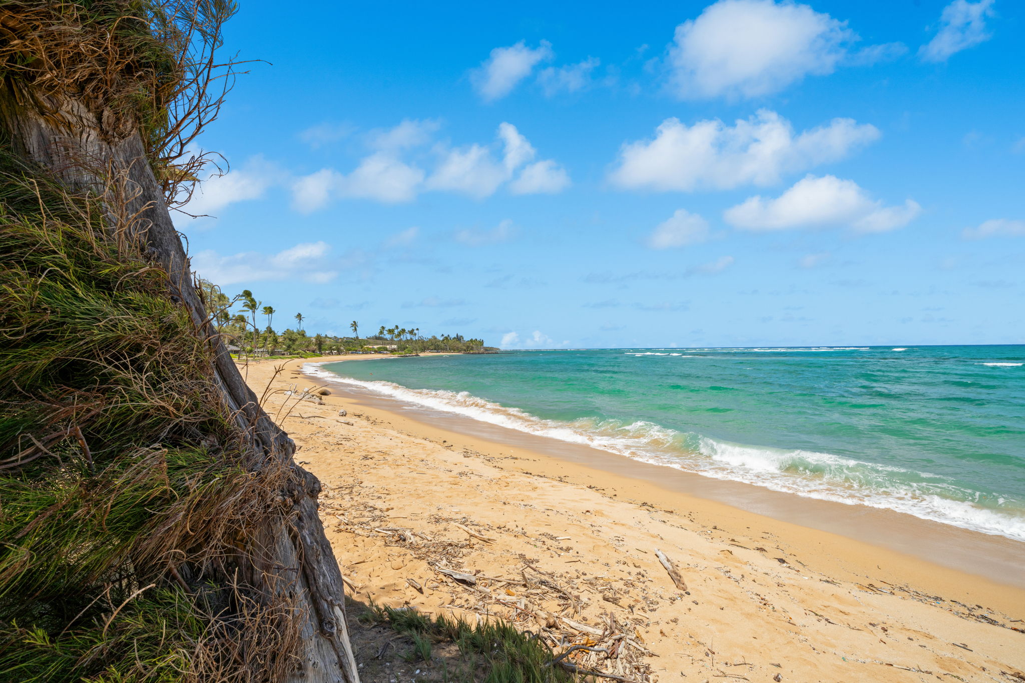 4-1250 Kuhio Hwy D101 Property Photo 29