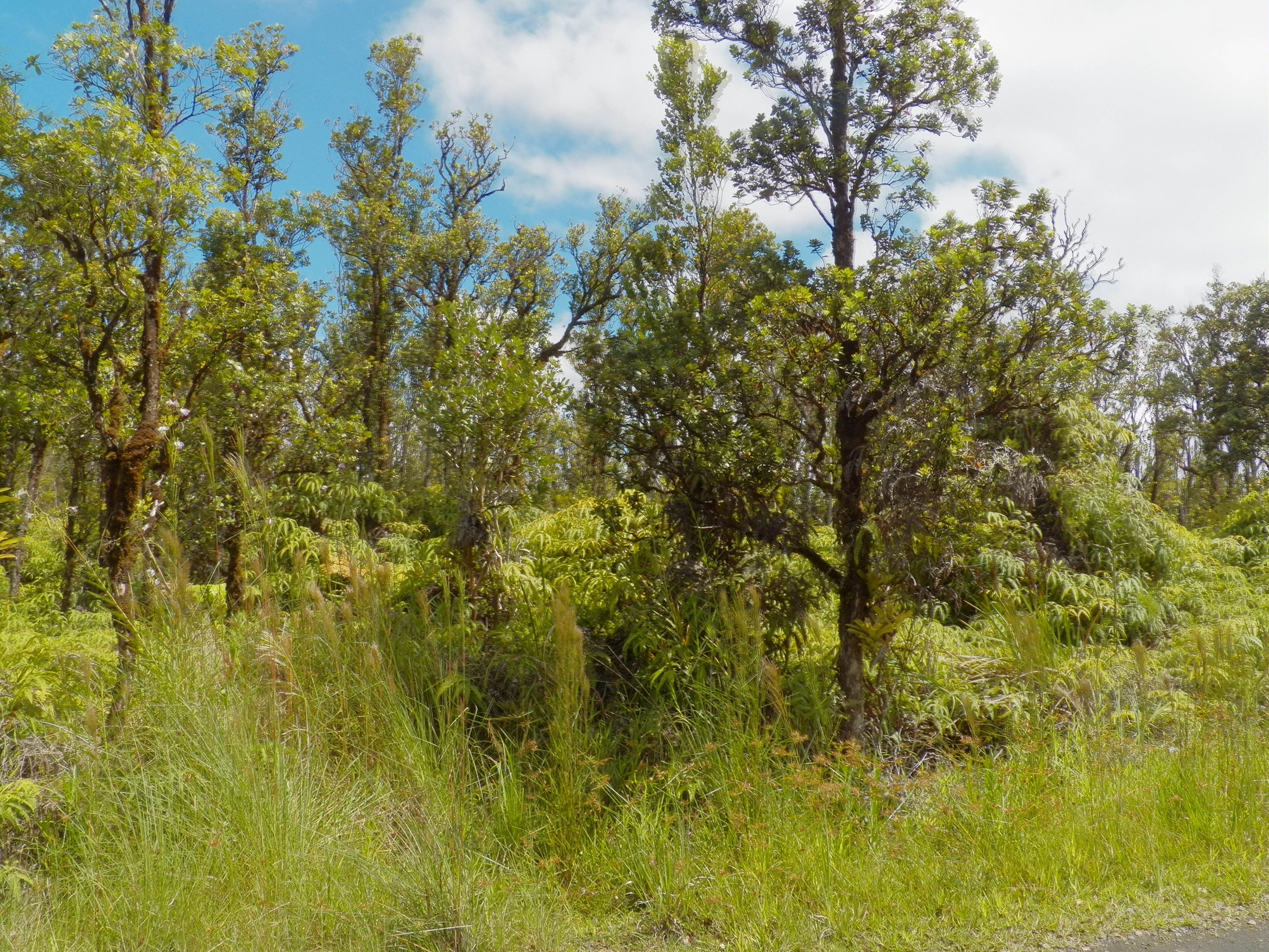 Naia St Property Photo 1