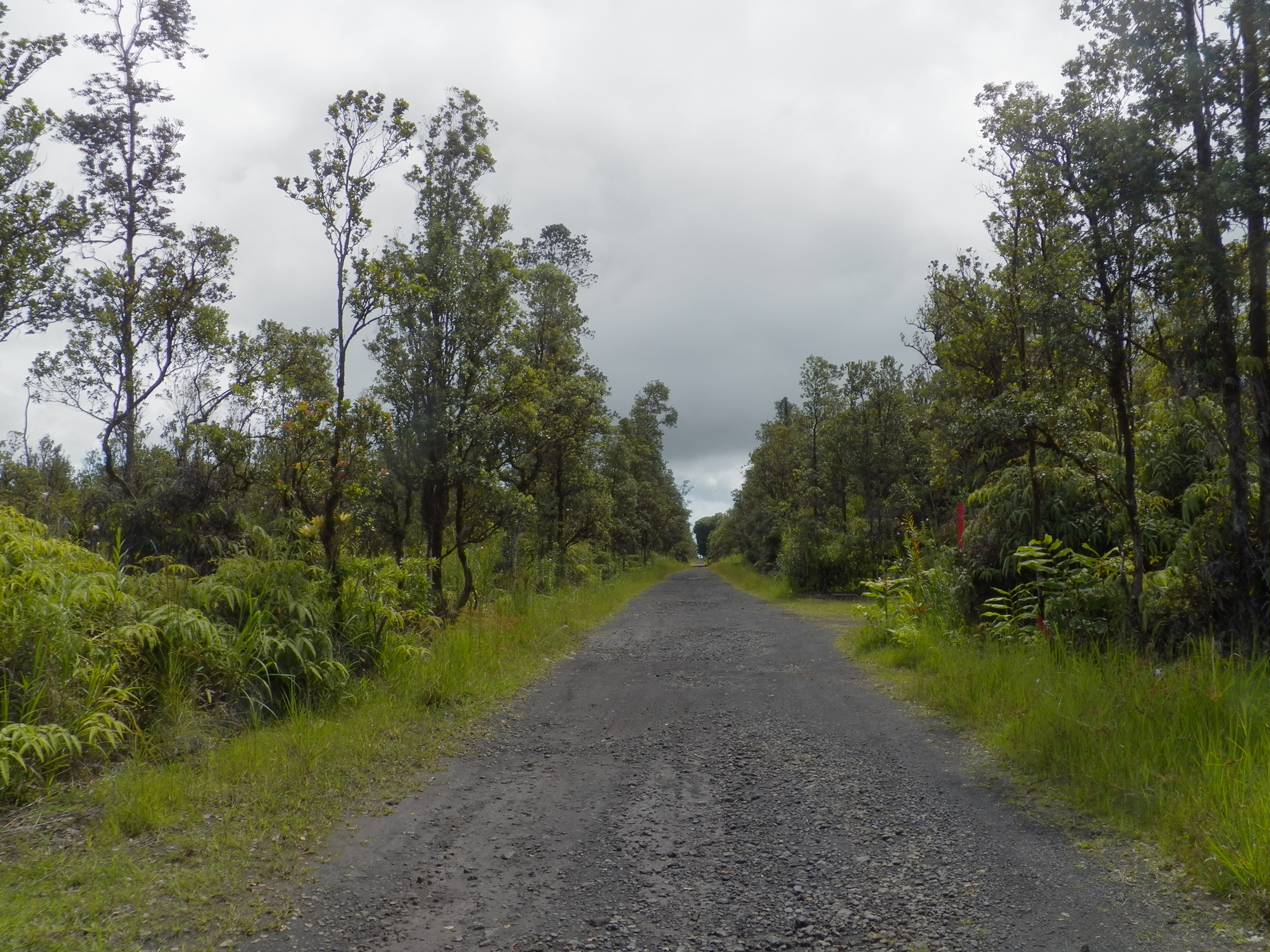 Naia St Property Photo 5