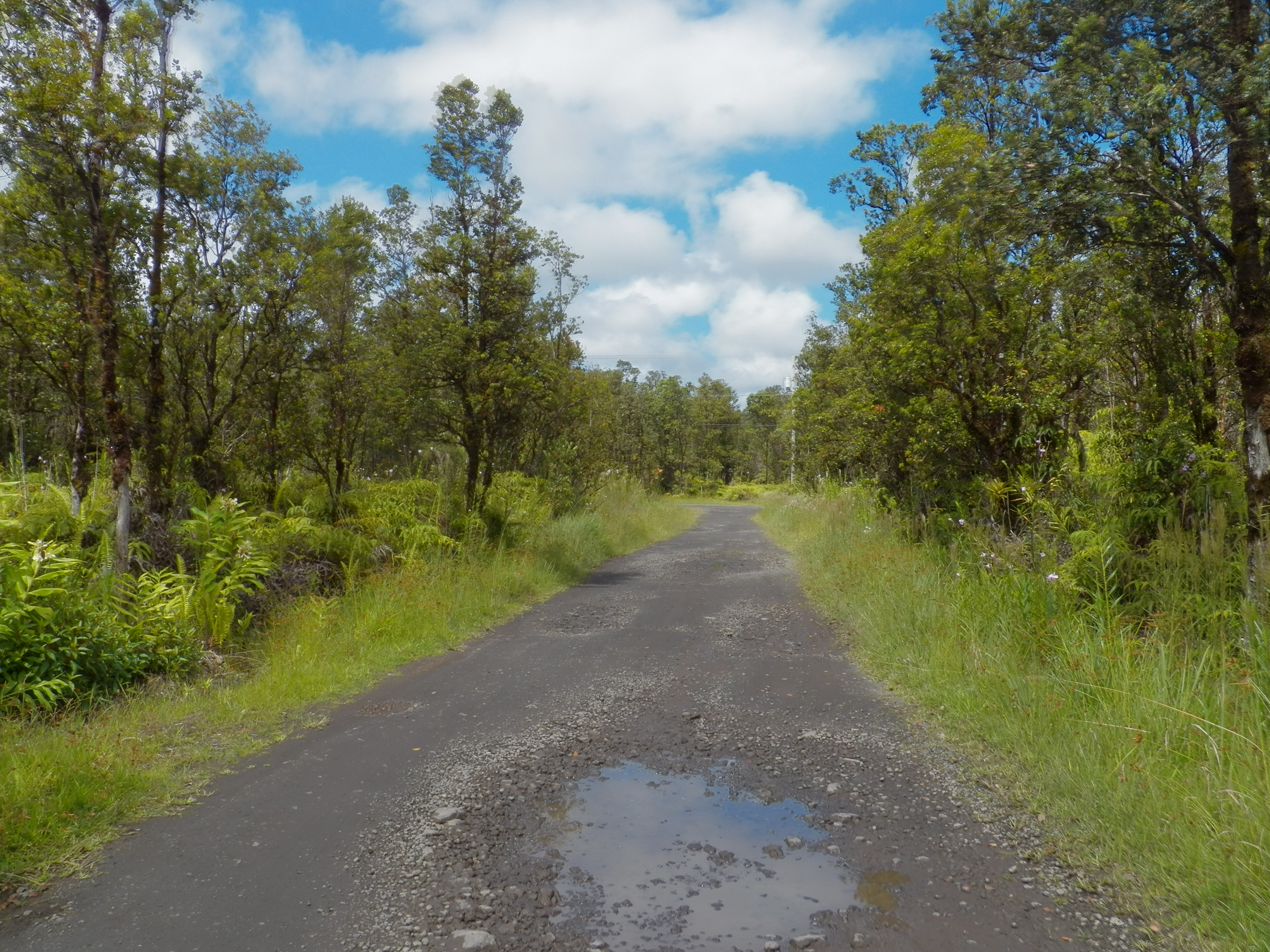 Naia St Property Photo 6