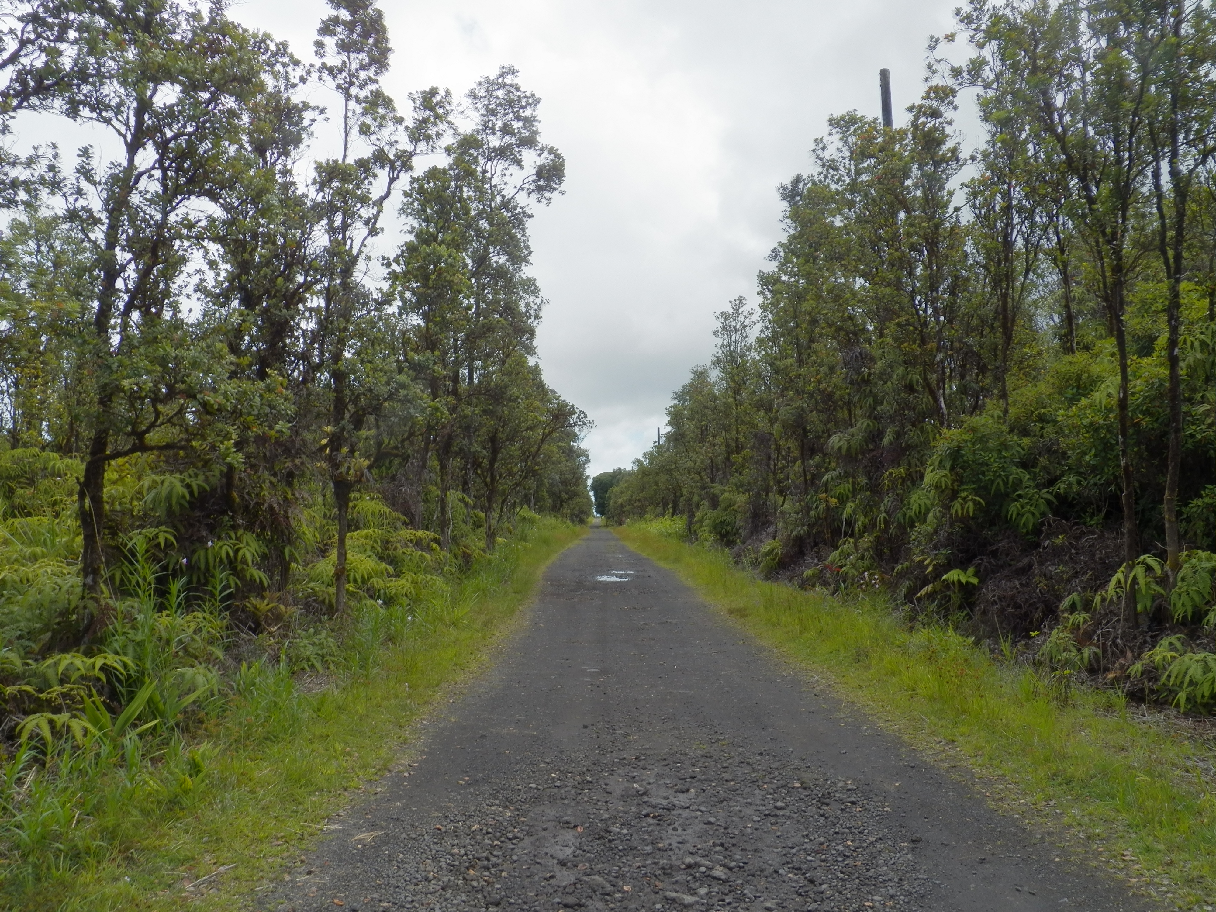 Naia St Property Photo 6
